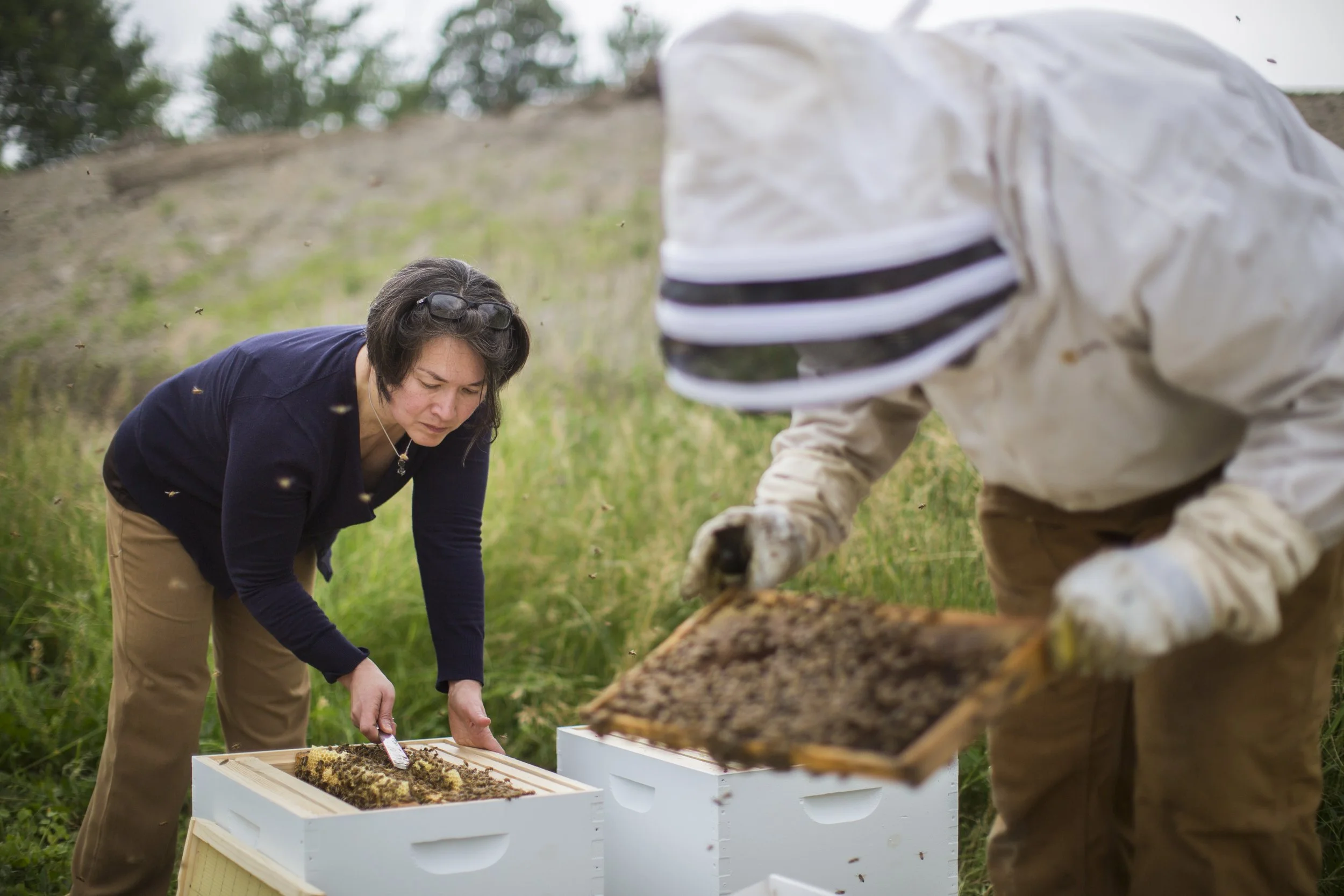  A collection of images featuring candid, editorial and documentary photography showcasing the philanthropic work being done by Ford Motor Co. with beekeepers and pollinators in Dearborn and Detroit, Michigan 