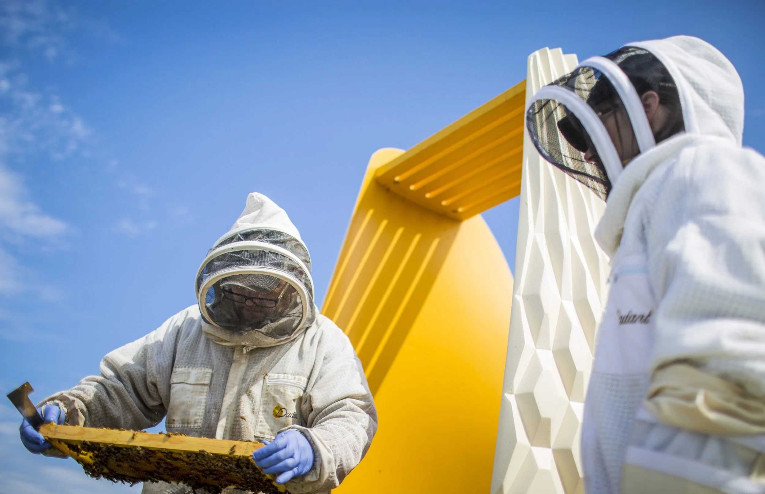  A collection of images featuring candid, editorial and documentary photography showcasing the philanthropic work being done by Ford Motor Co. with beekeepers and pollinators in Dearborn and Detroit, Michigan 