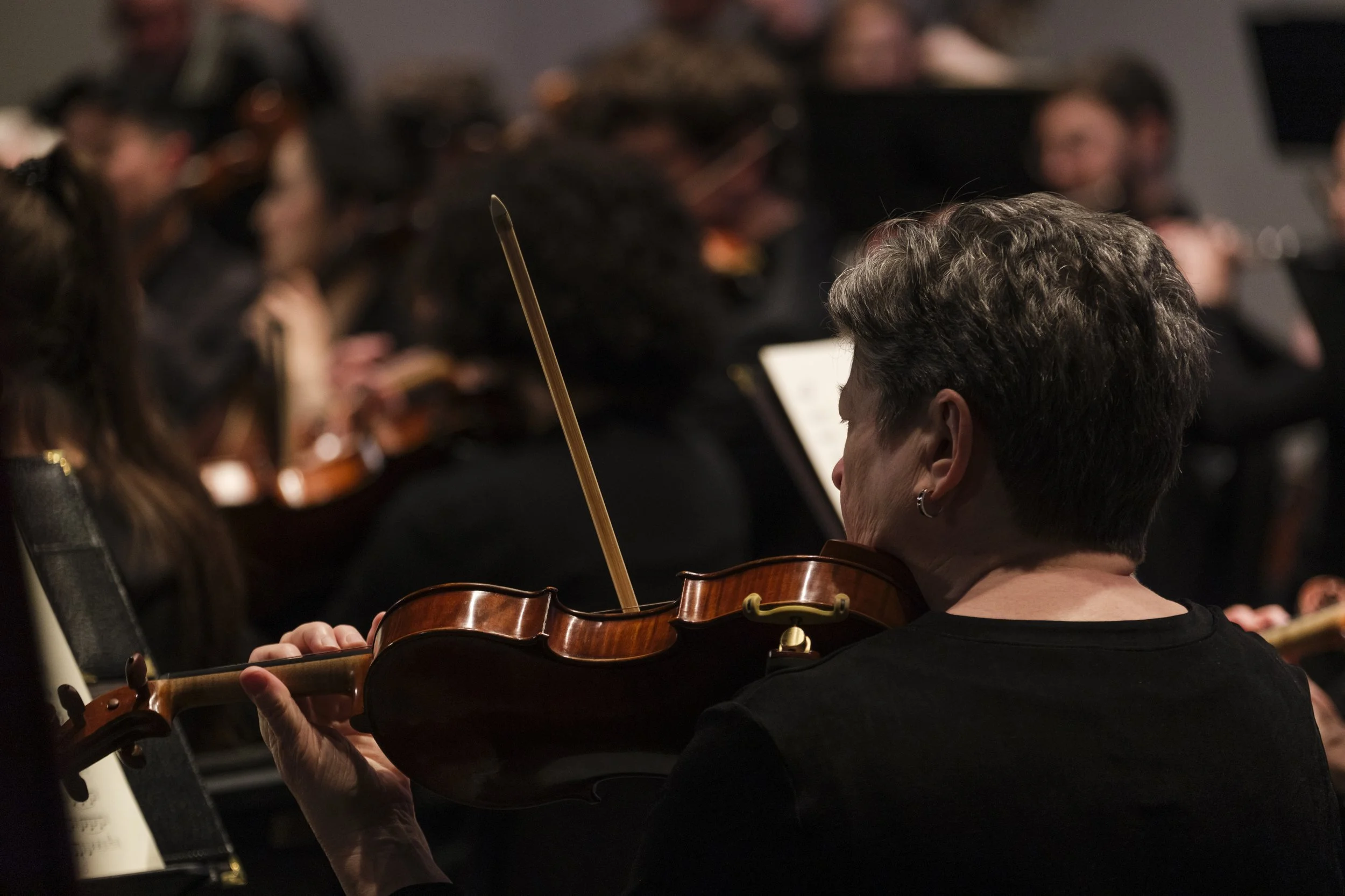 The back of a musician on stage playing their violin.