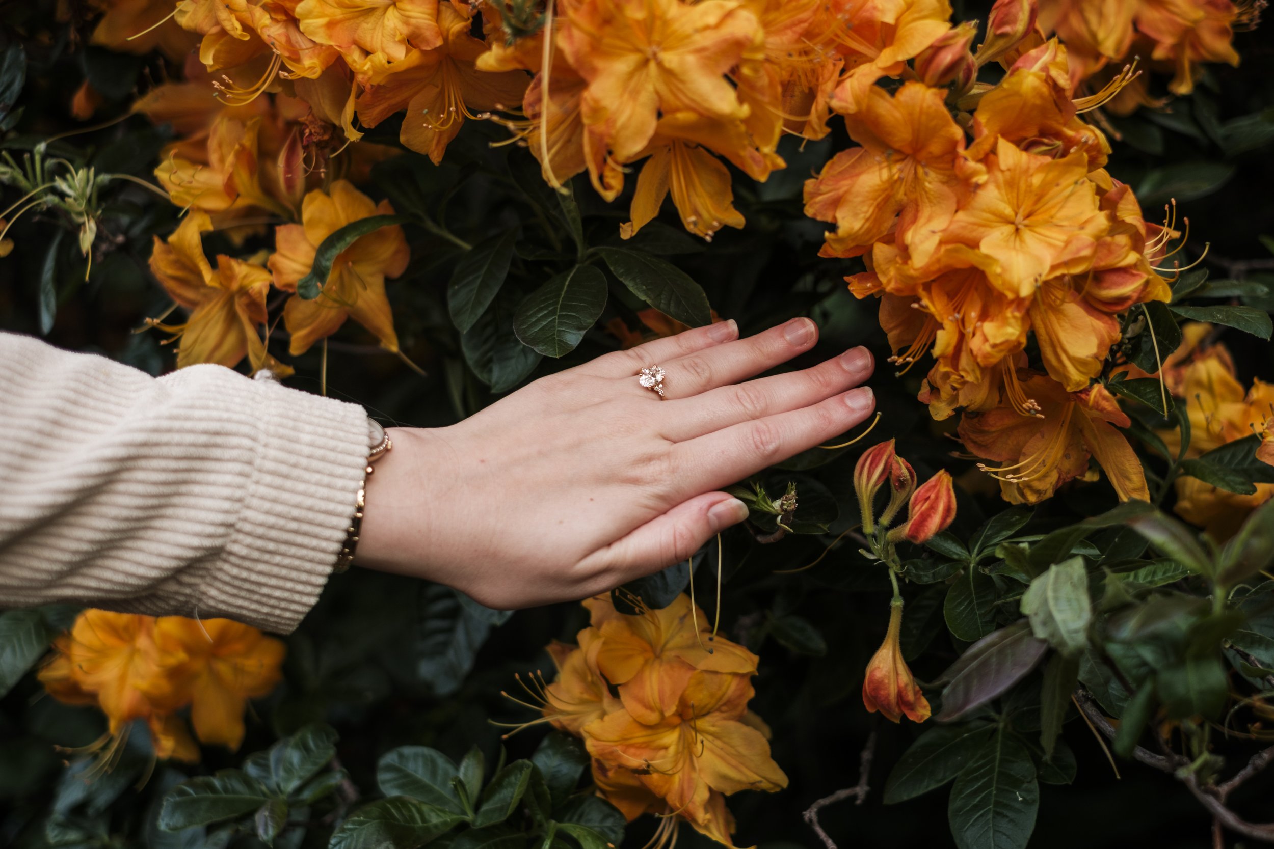 A hand with an engagement ring with blooming orange rhododendrons in the background.