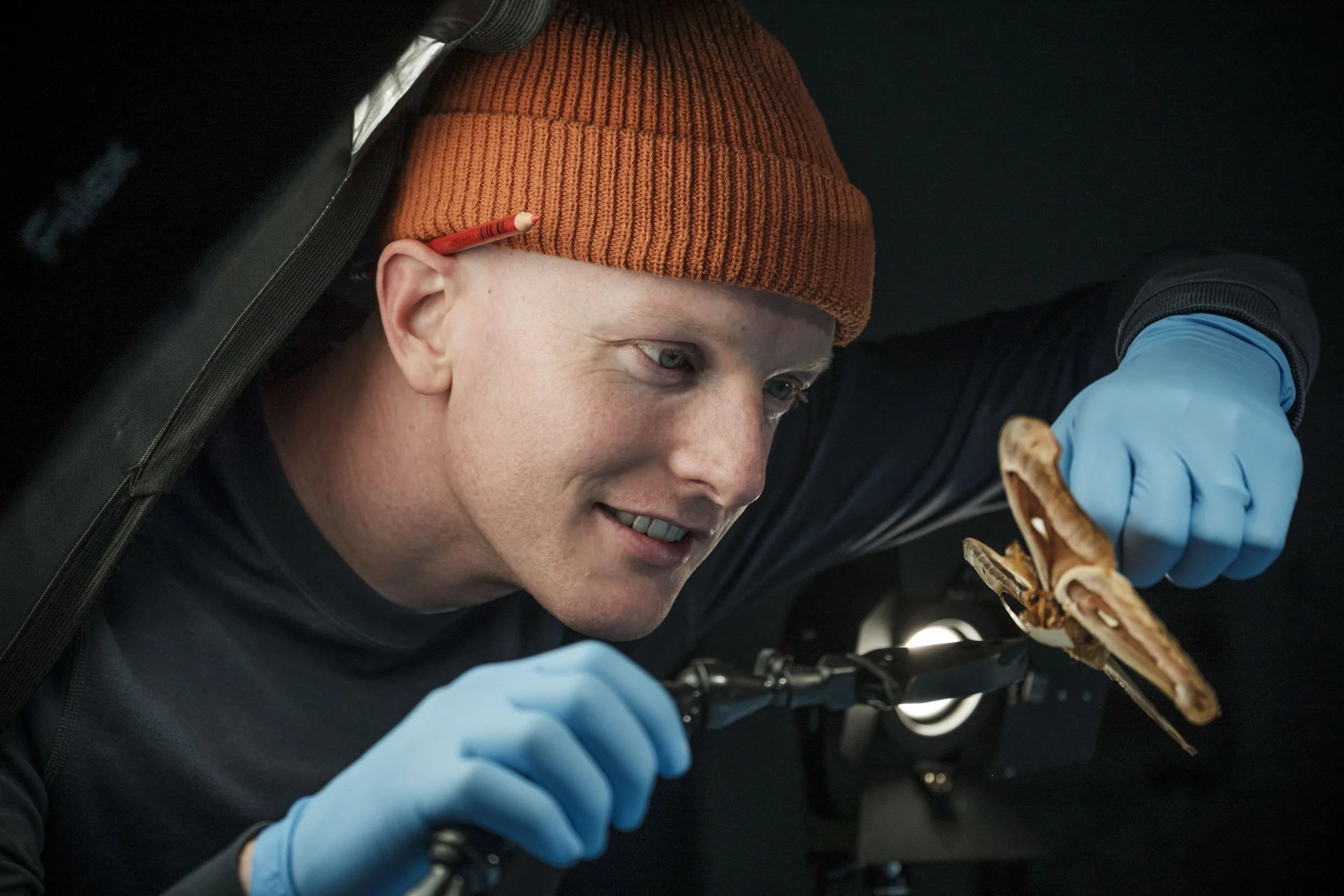 Content creator, Charlie Engelman, examines a moth with blue gloves.