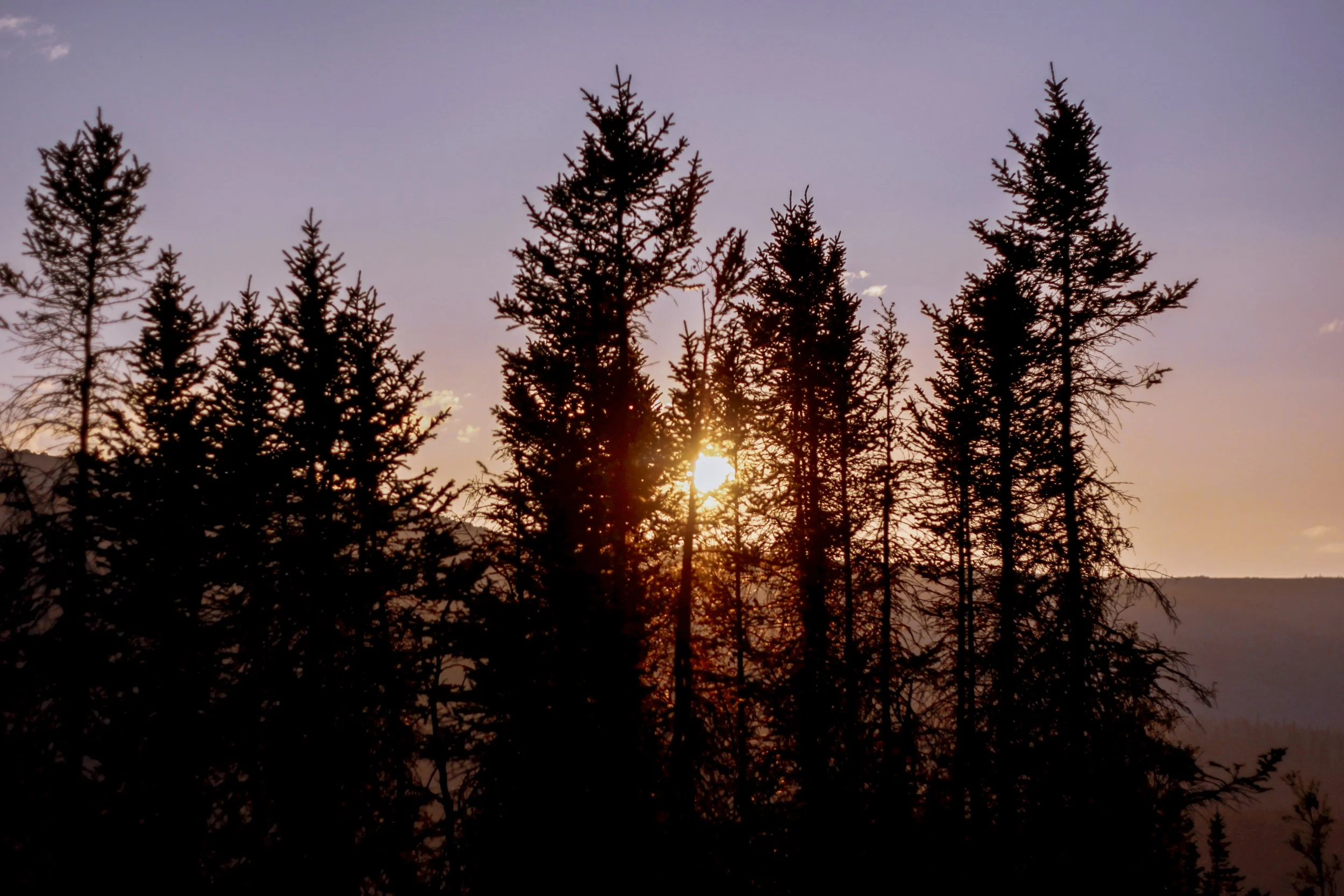 The sun sets through pine trees, illuminating a distant mountain in the remote Alaskan wilderness.