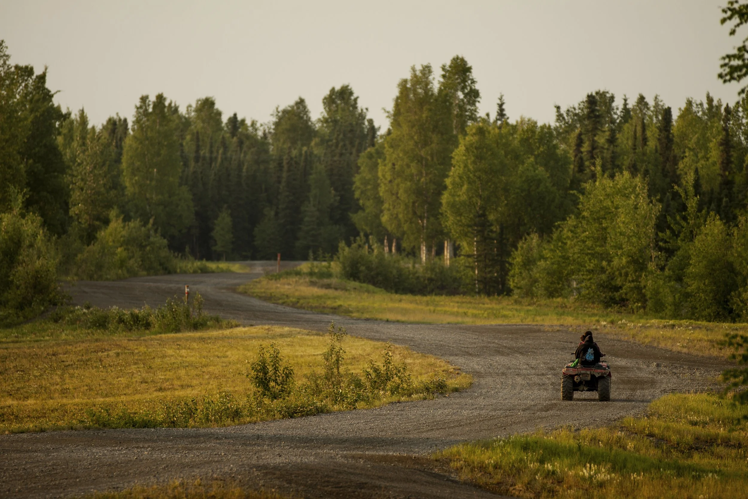 A four wheeler drives away on a dirt road during a golden sunset in the remote Alaskan wilderness.