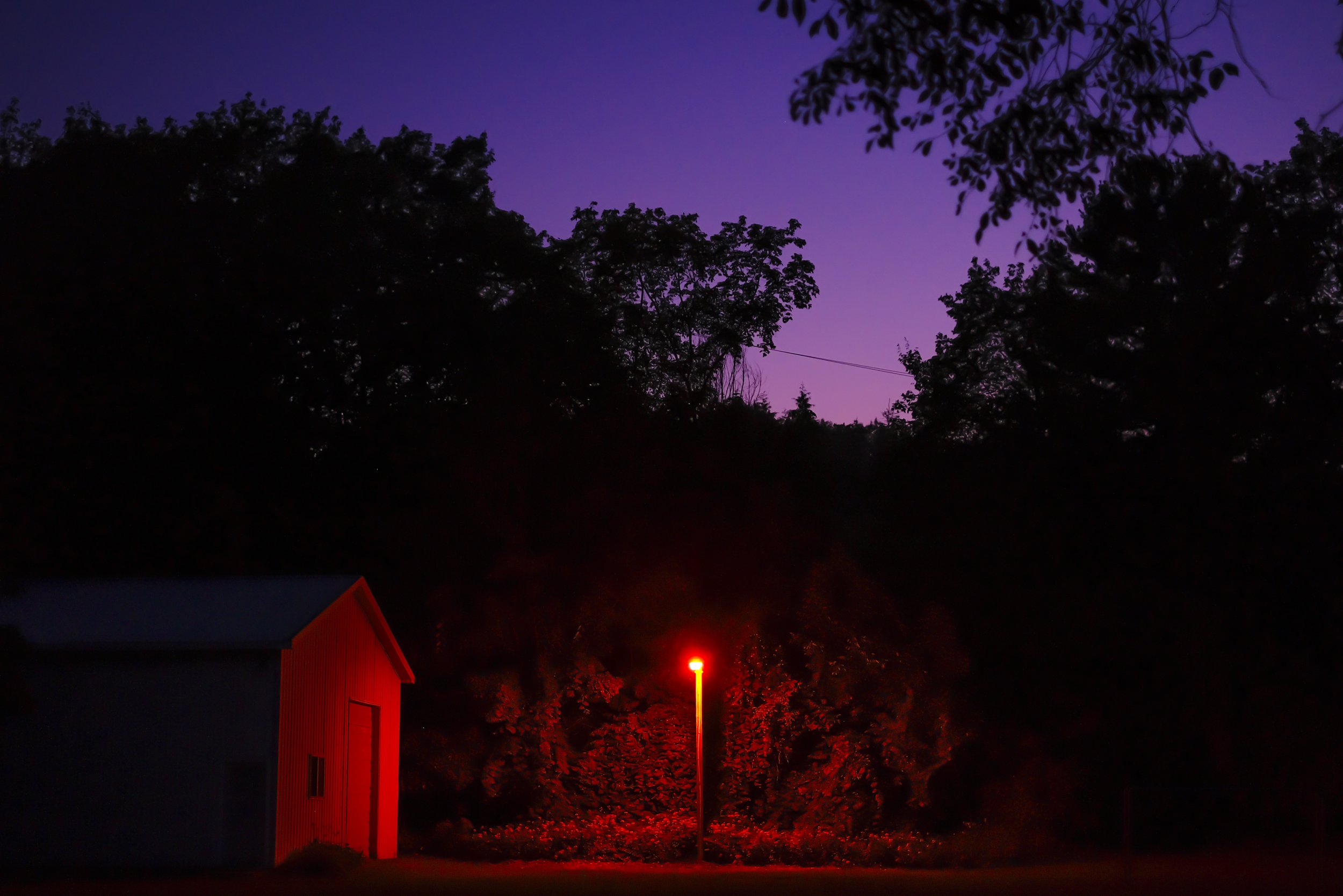  Charlotte Smith is a professional photographer in Ann Arbor, Michigan, offering event photography, portrait photography, and long-form storytelling for brands, organizations, and individuals. Her imagery is colorful and film-inspired, with a nostalg