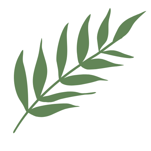 Illustration of a green fern leaf on a black background.