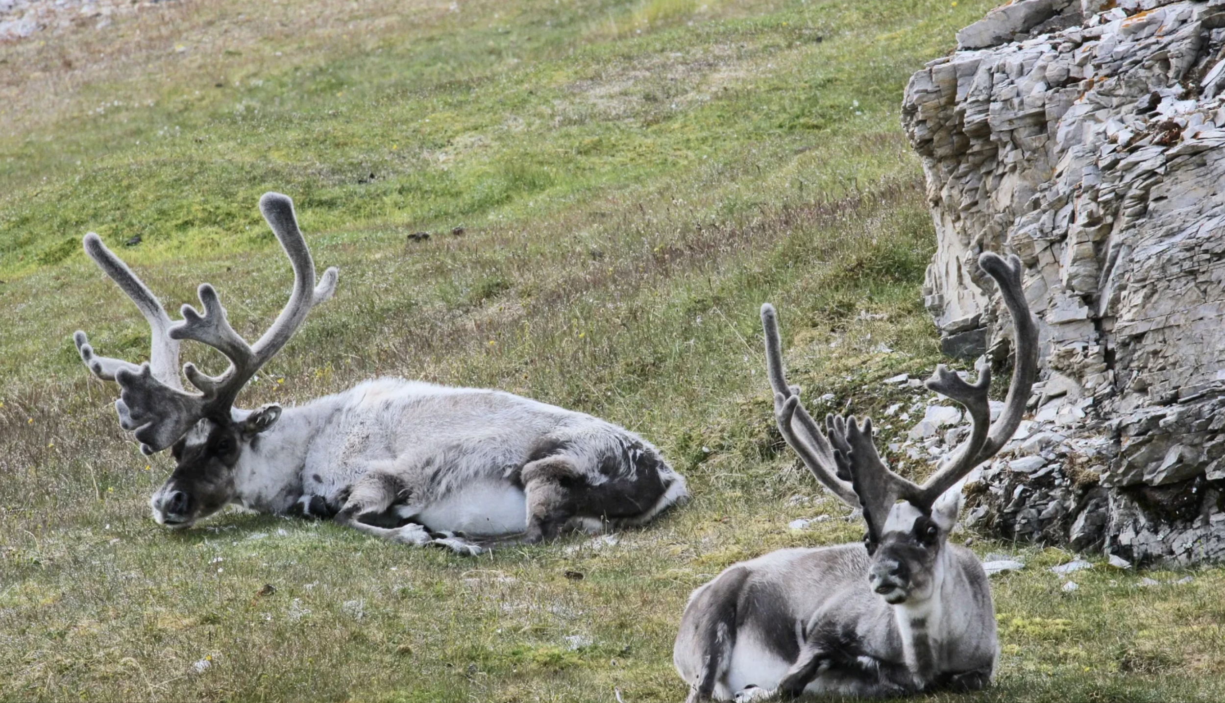 Screenshot 2026-01-15 at 10.41.26 AM.png