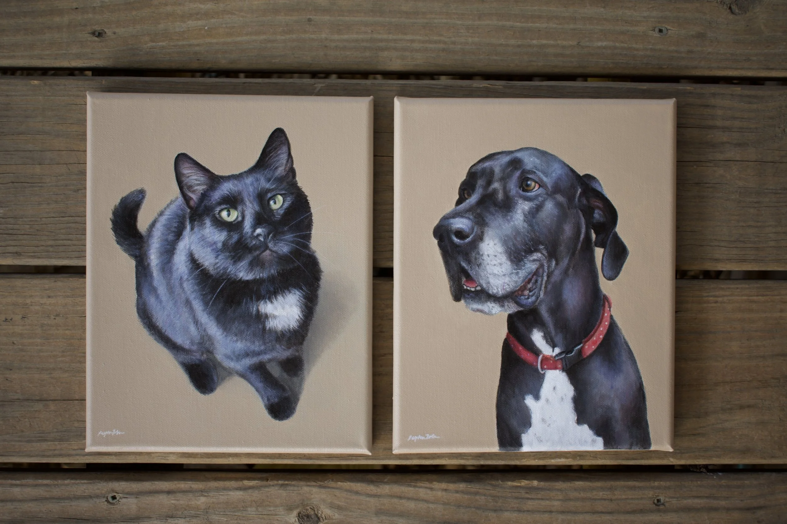 black dog & cat.jpg