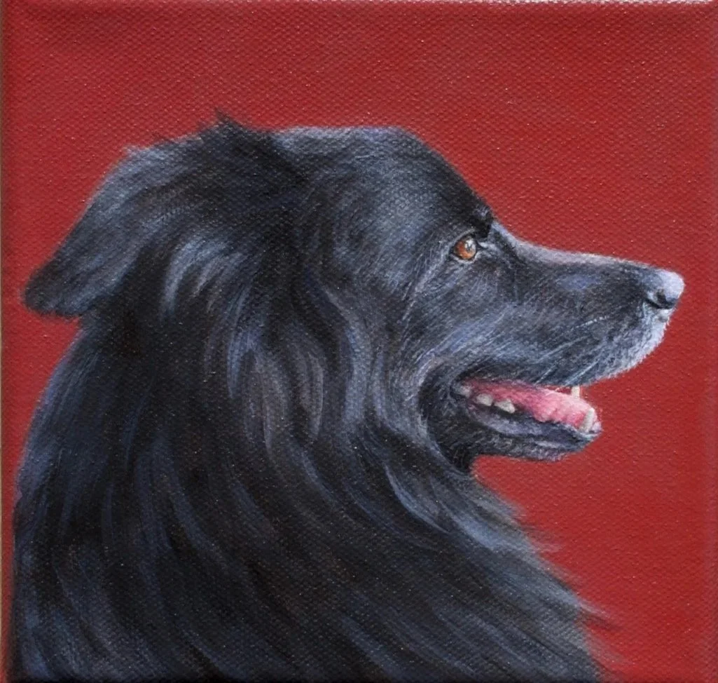 5x5 Pet Painting