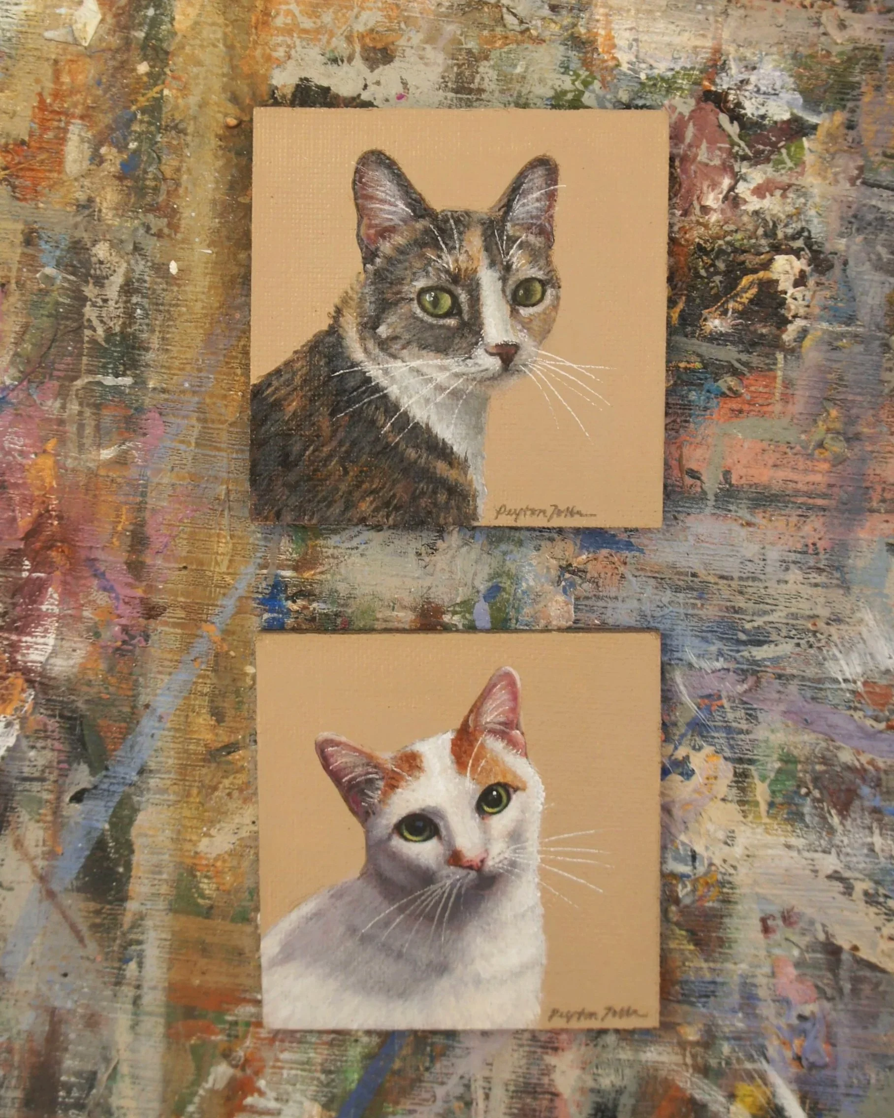 3x3 Cat Paintings