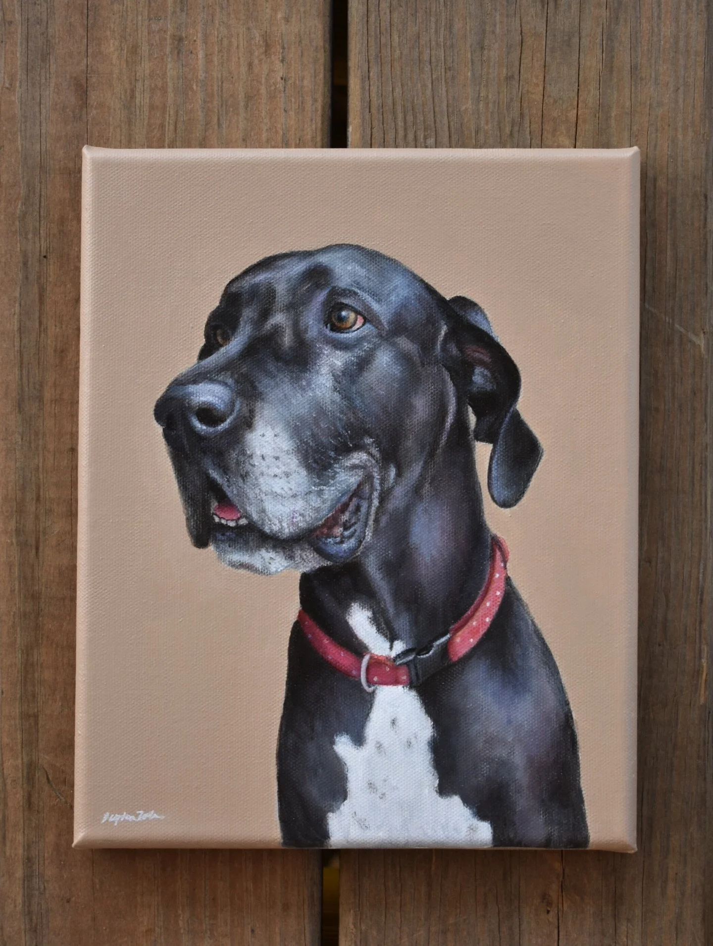 Nymara 🐾
8x10&rdquo; acrylic 🎨 
#petportrait #commission #greatdane #acrylicpainting #petpainting