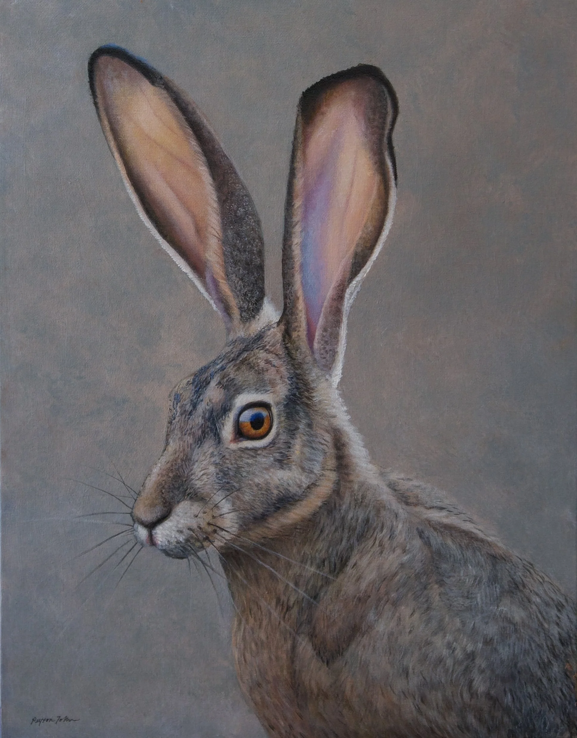 Painted portrait of a rabbit with detailed fur, large upright ears, and orange eyes, set against a plain background.