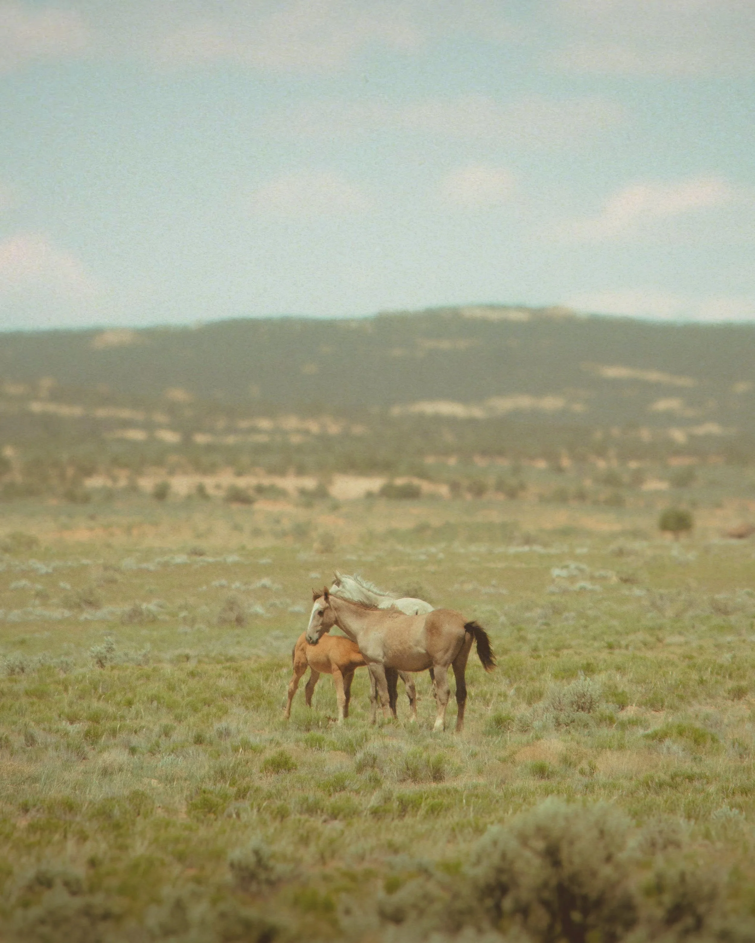 Where the Earth Breathes Softly