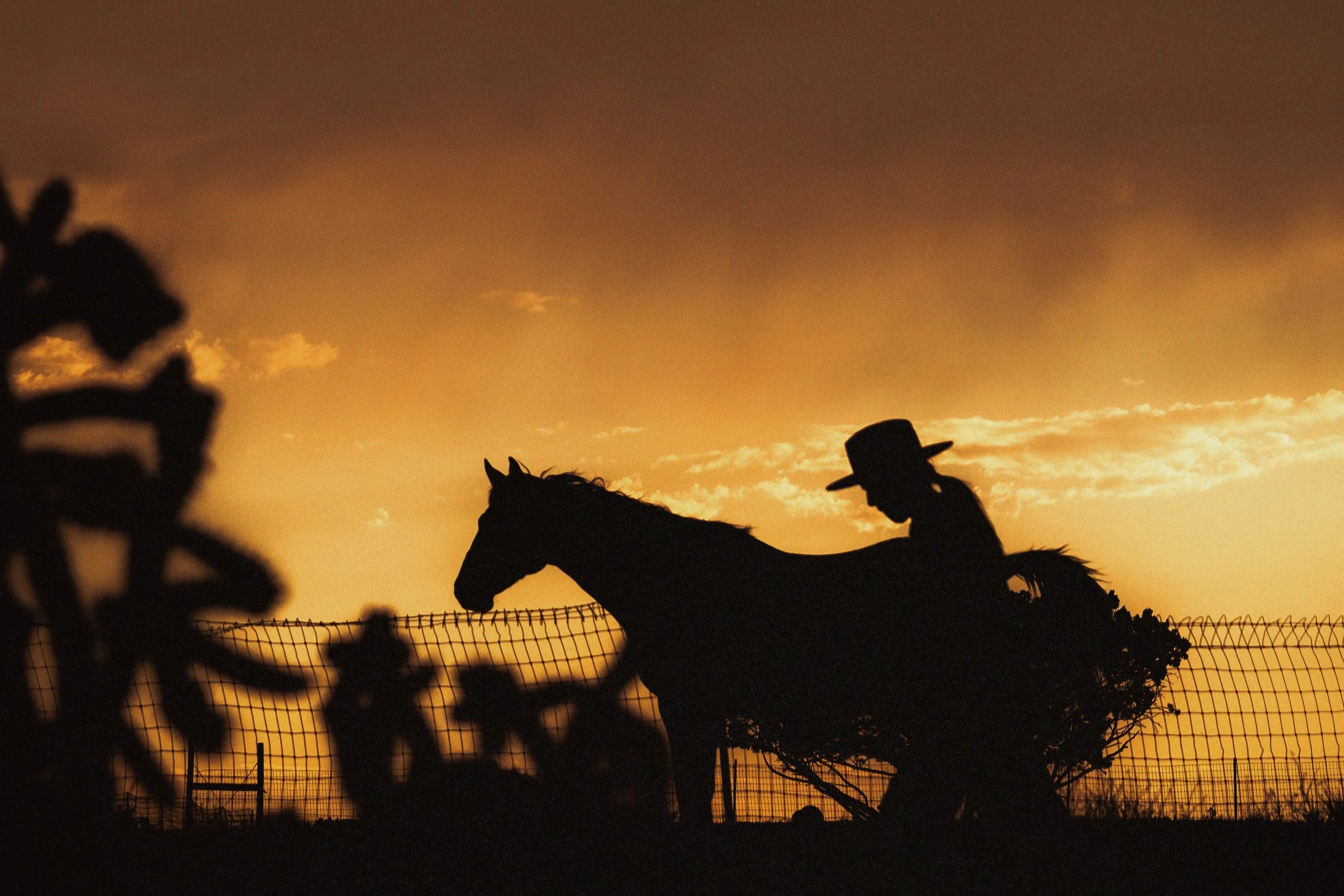 Moon Horse Ranch - Santa Fe, New Mexico