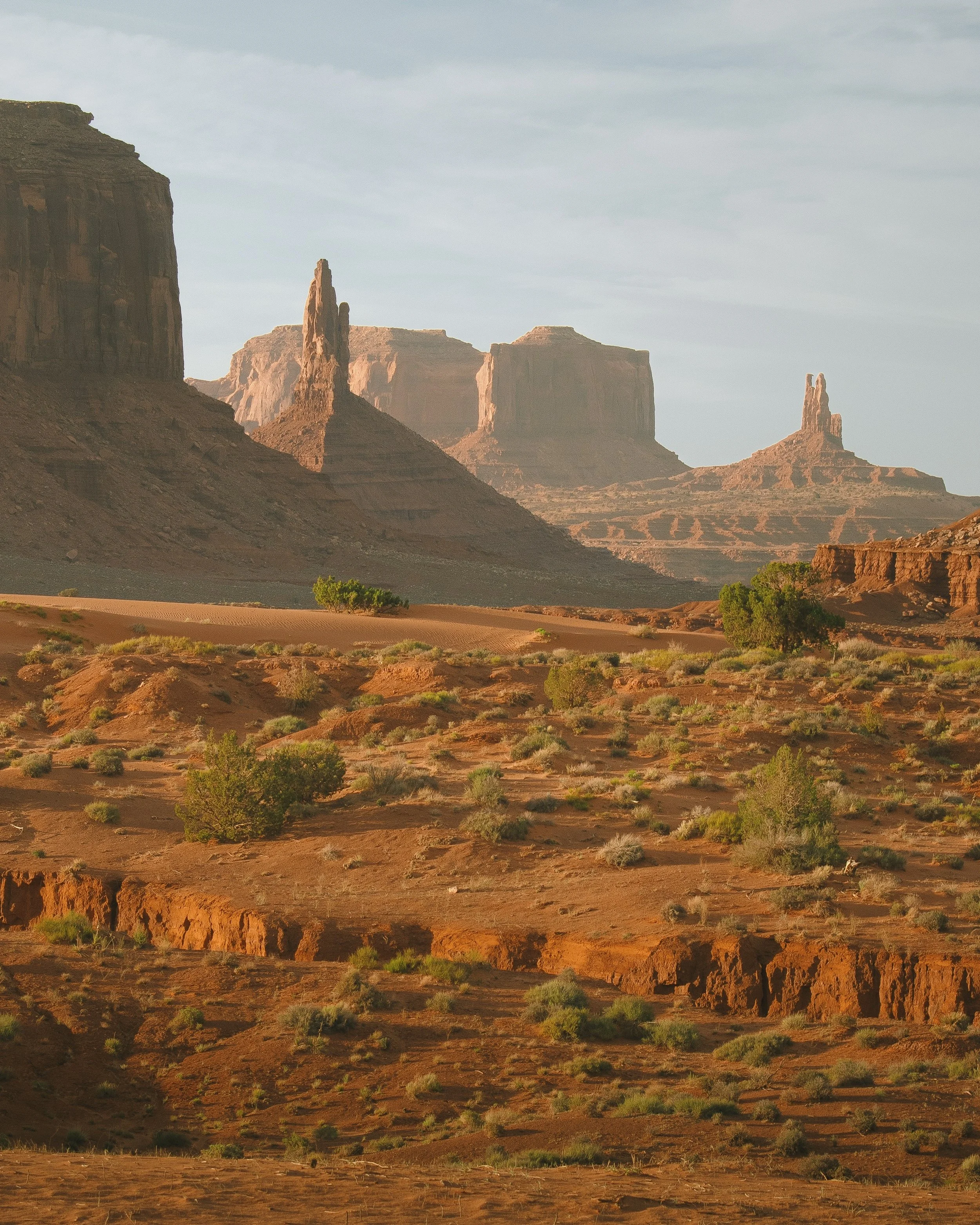 Desert Delux