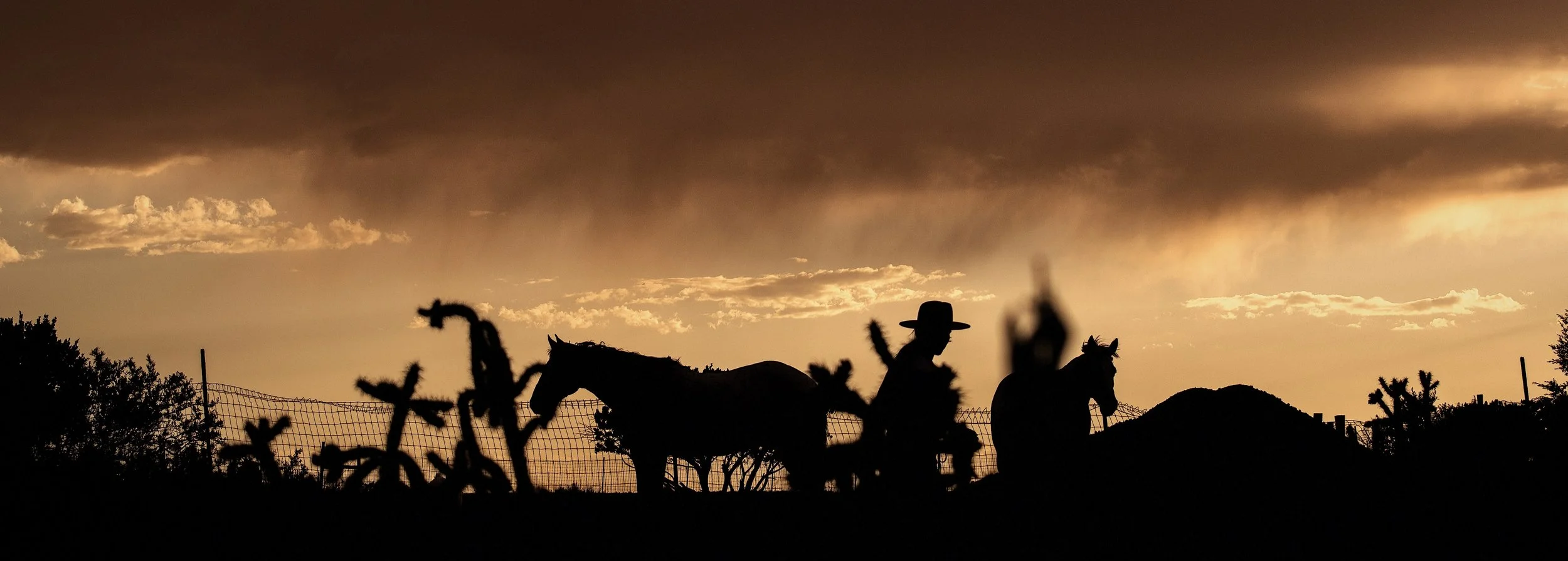 Photography workshop at Moon Horse Ranch in Santa Fe, New Mexico.
