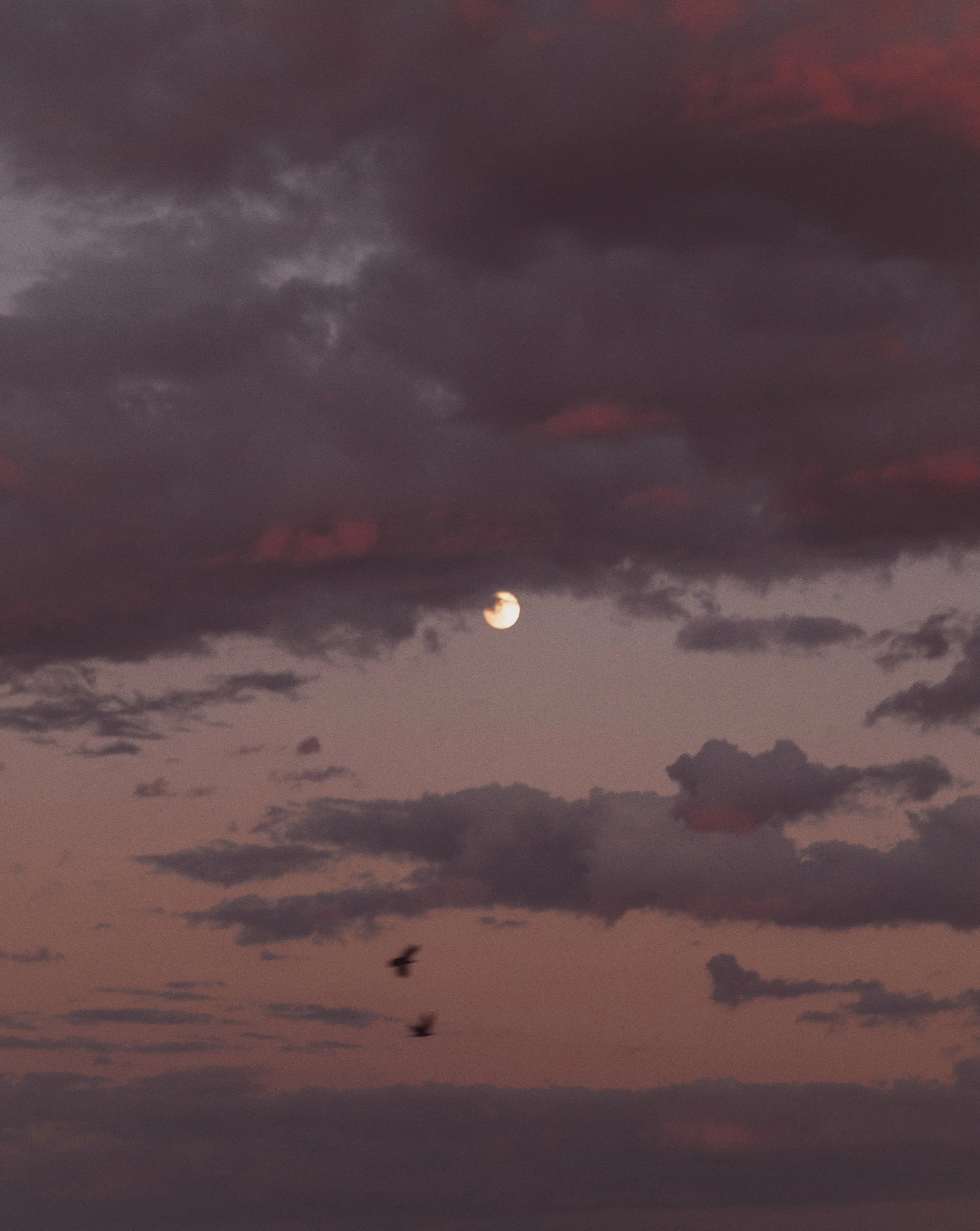 A dusk or dawn sky with dark clouds, a waxing or waning crescent moon, and two flying birds.