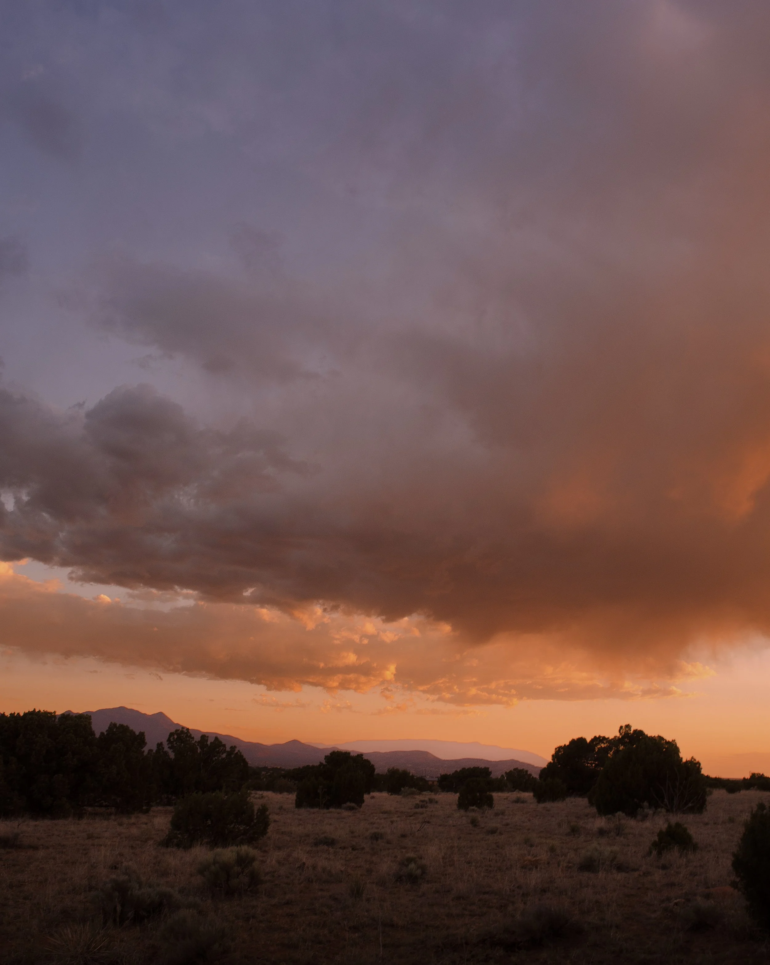Sunset over a grassy plain with scattered trees, dark clouds in the sky, mountains in the background.