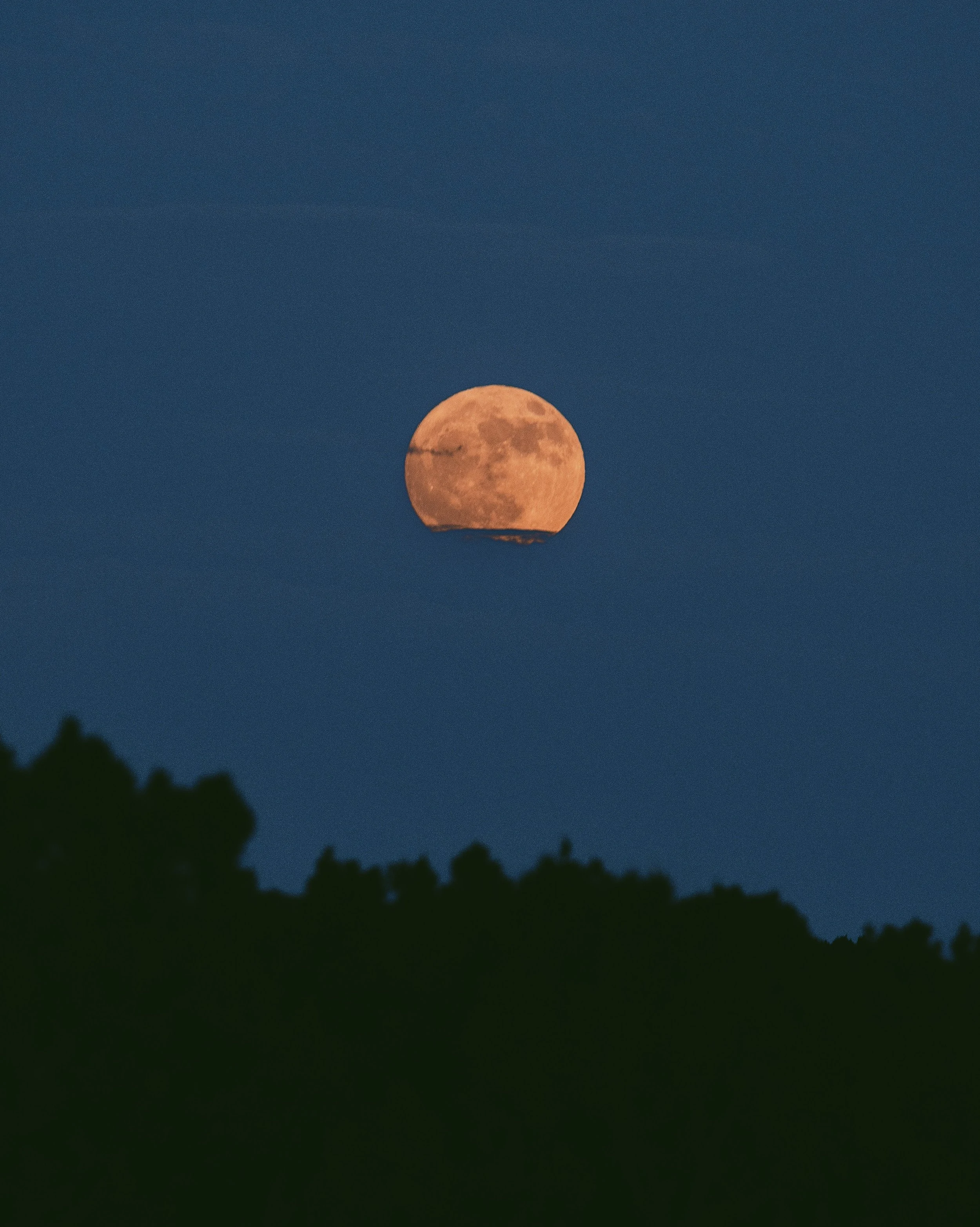 Full moon rising above a dark tree line in the evening sky.