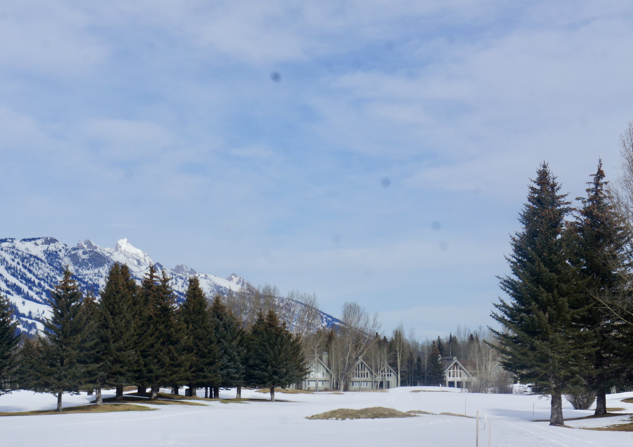 Snow-covered landscape with pine trees, houses, and distant mountains under a partly cloudy sky.