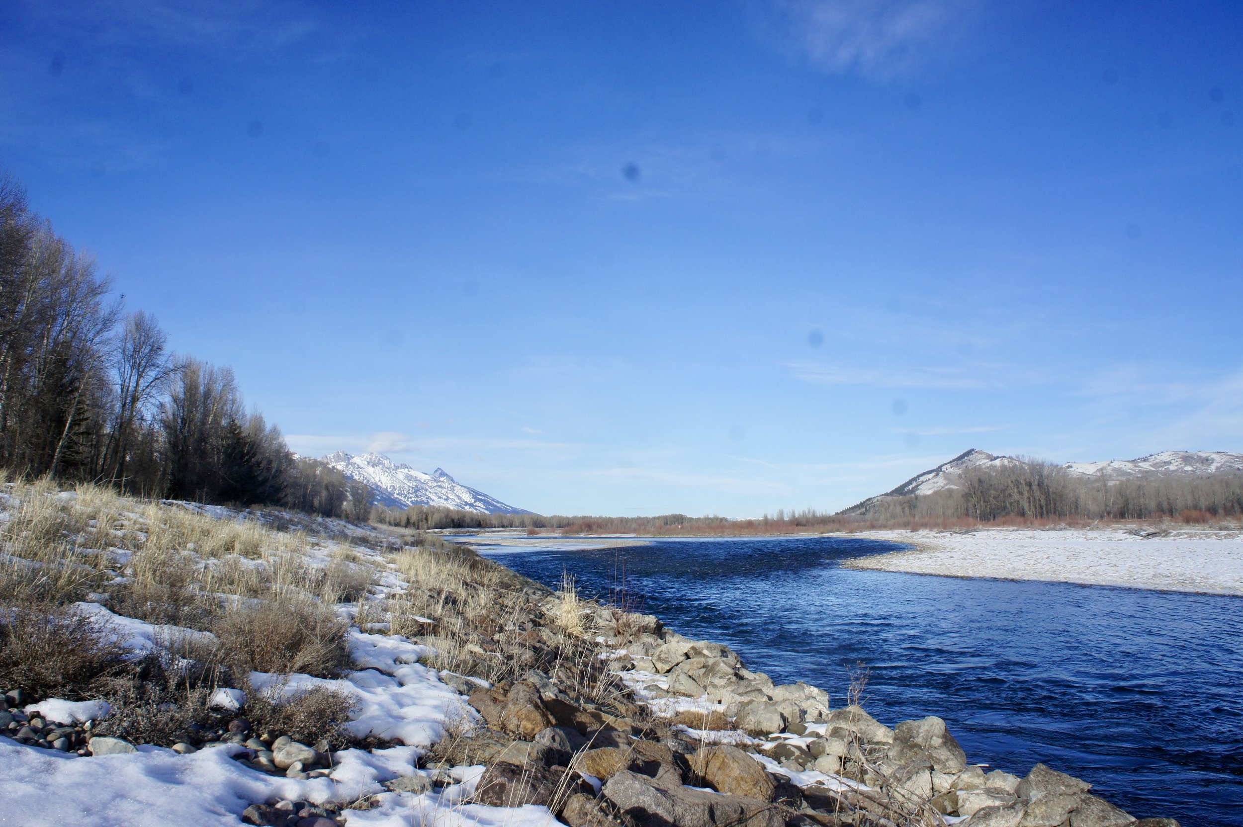 The Tax Advantages of Owning Property in Wyoming