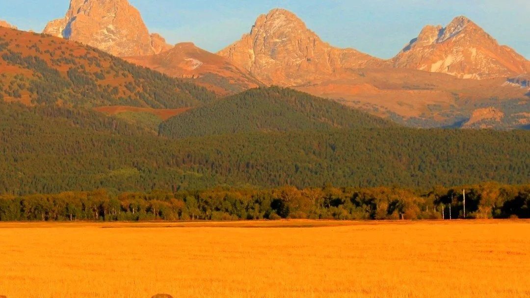 A Fall Day in Driggs, Idaho: Coffee, Teton Canyon, the Teton River and Dinner on Main