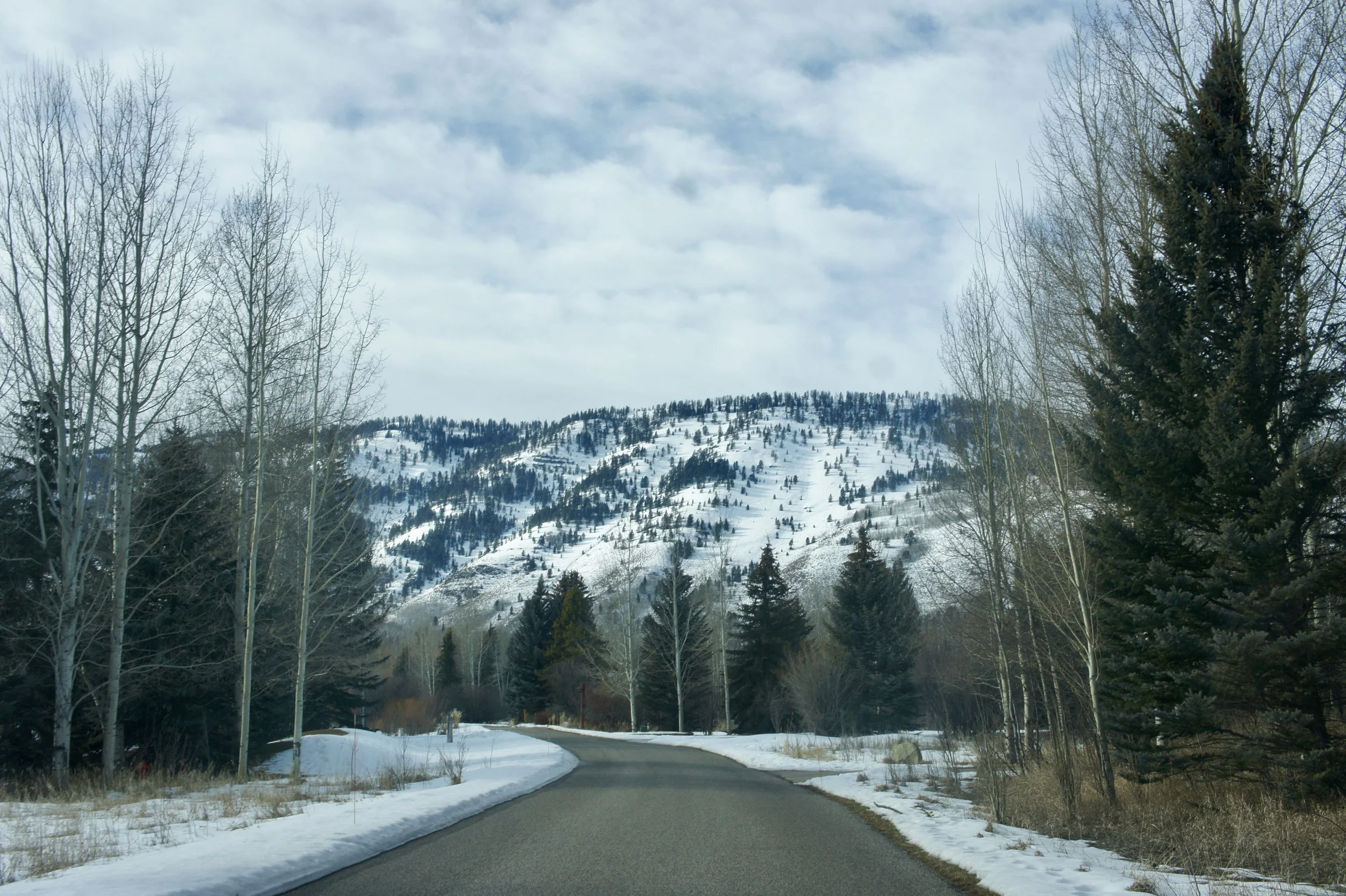 Willowbrook | Jackson Hole | Parker Bertles Real Estate