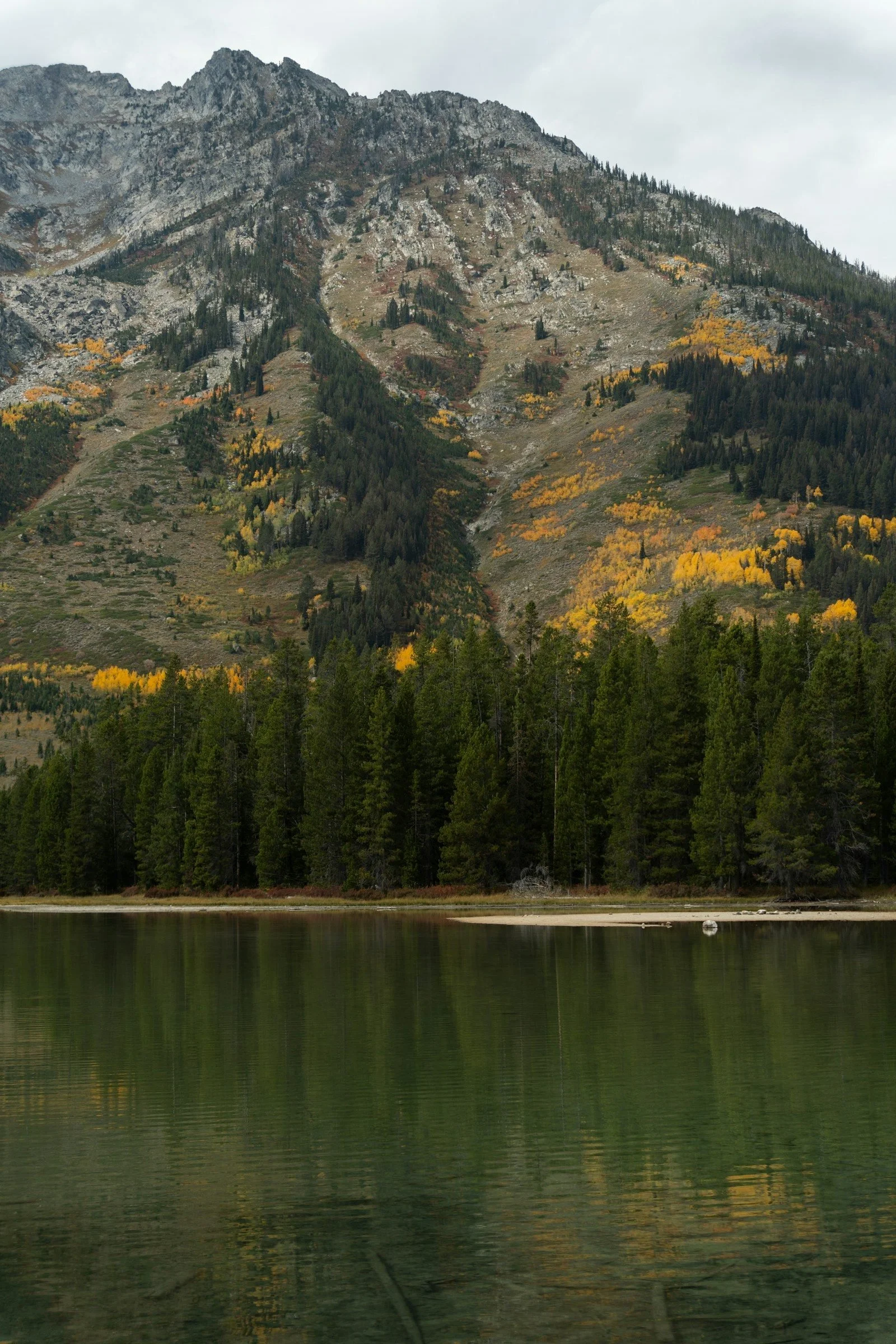 all color on a mountainside above a calm lake