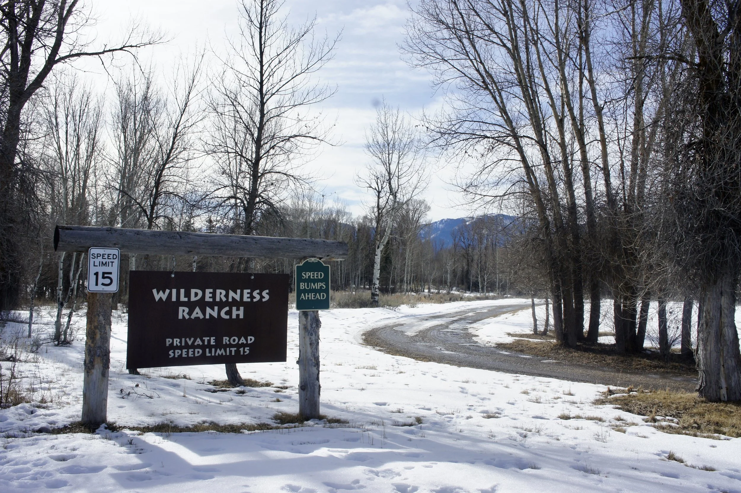 Wilderness Ranch | Jackson Hole | Parker Bertles Real Estate