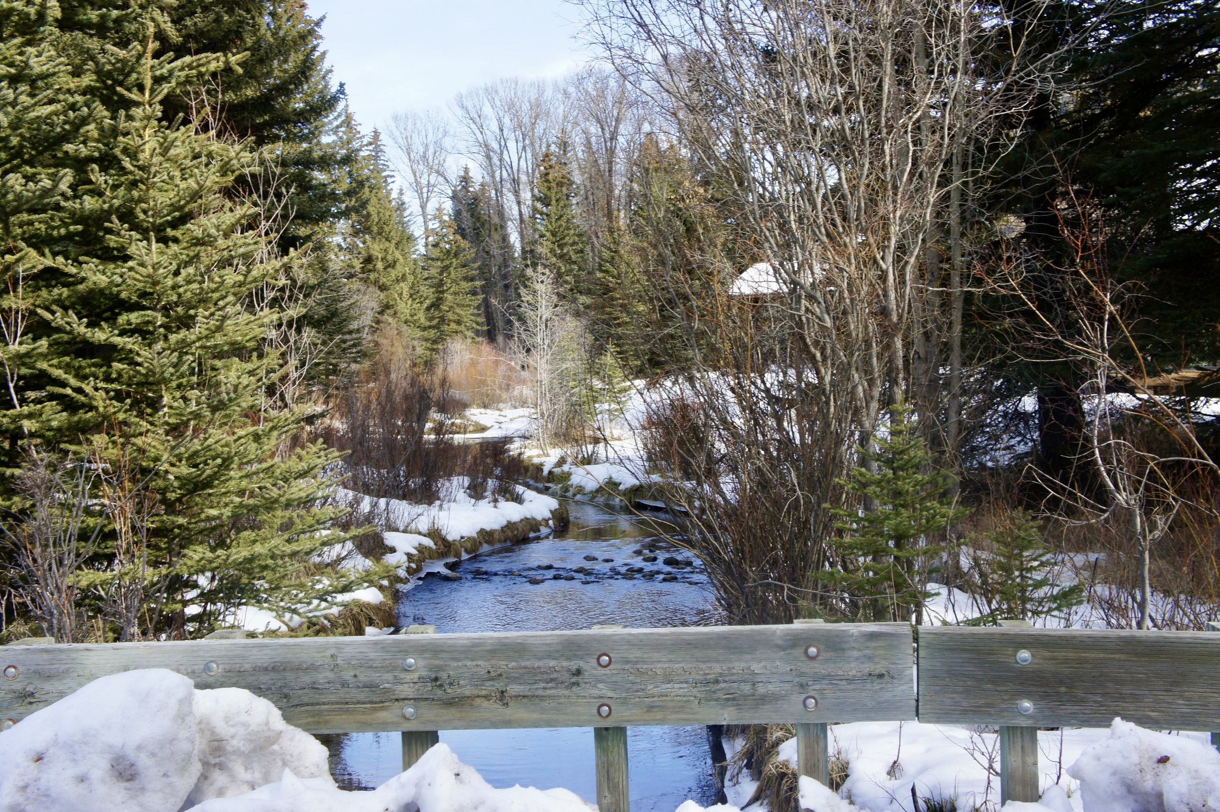 Homestead | Jackson Hole | Parker Bertles Real Estate