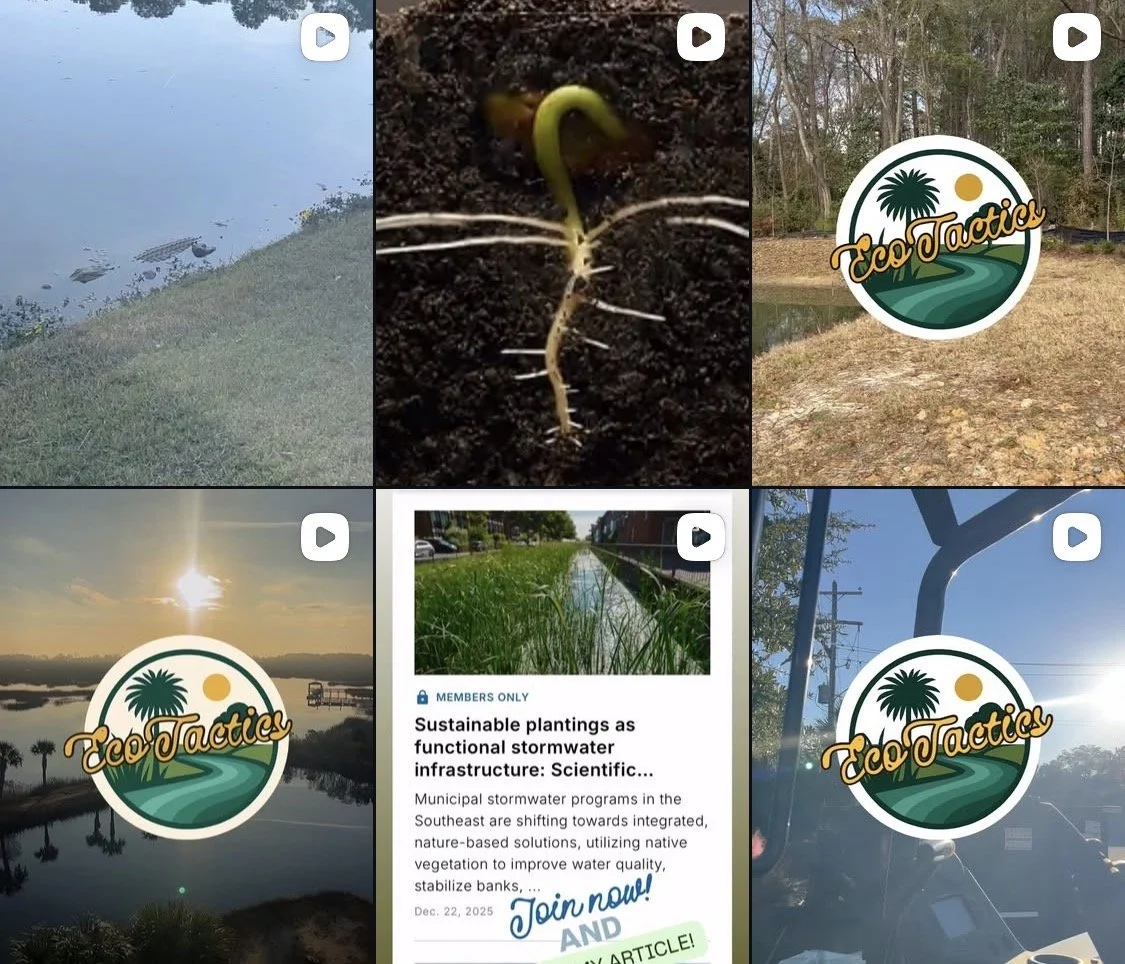 Collage of six images featuring a pond with crocodiles, a sprouted seedling, a logo with tropical trees and the text 'EcoTactics', a sunset over a river with palm trees, a screenshot of an article about sustainable stormwater planting, and a metal structure with sunlight.