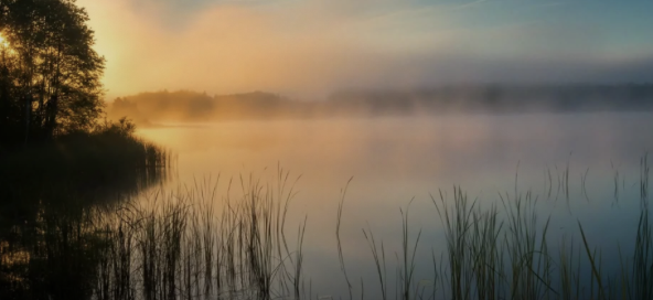 Image 2-5-26 at 5.01 PM.png