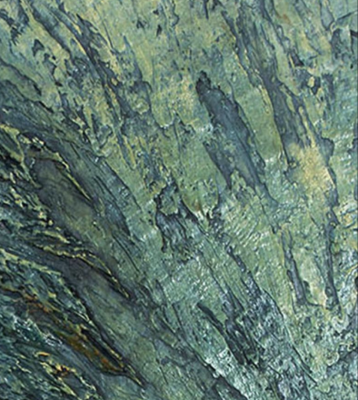 Close-up of green and yellow textured tree bark.