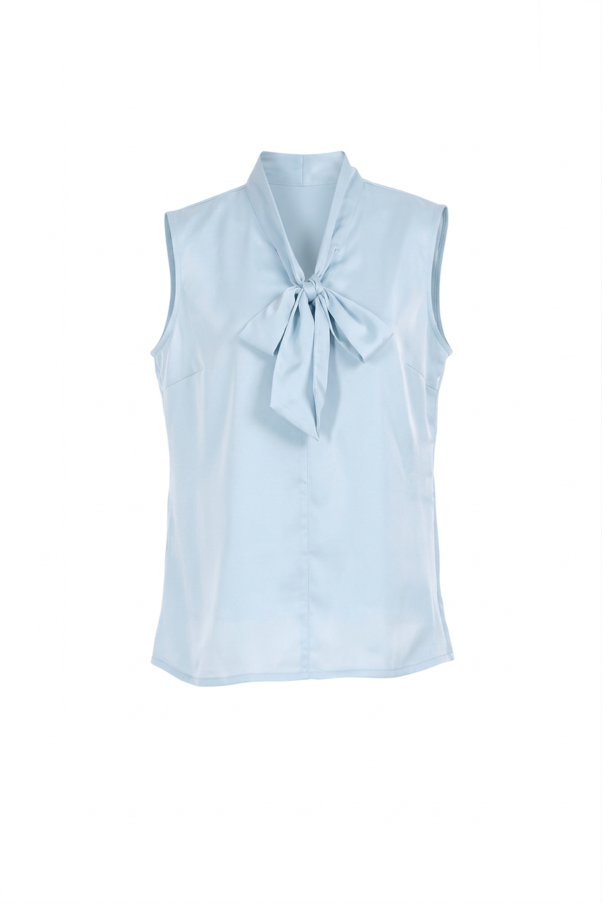 pale ble silk top BL.png