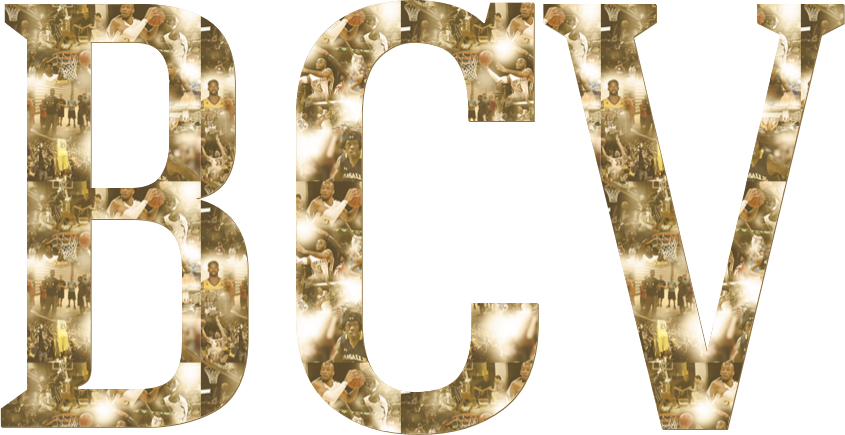 Berkowitz Career Ventures logo