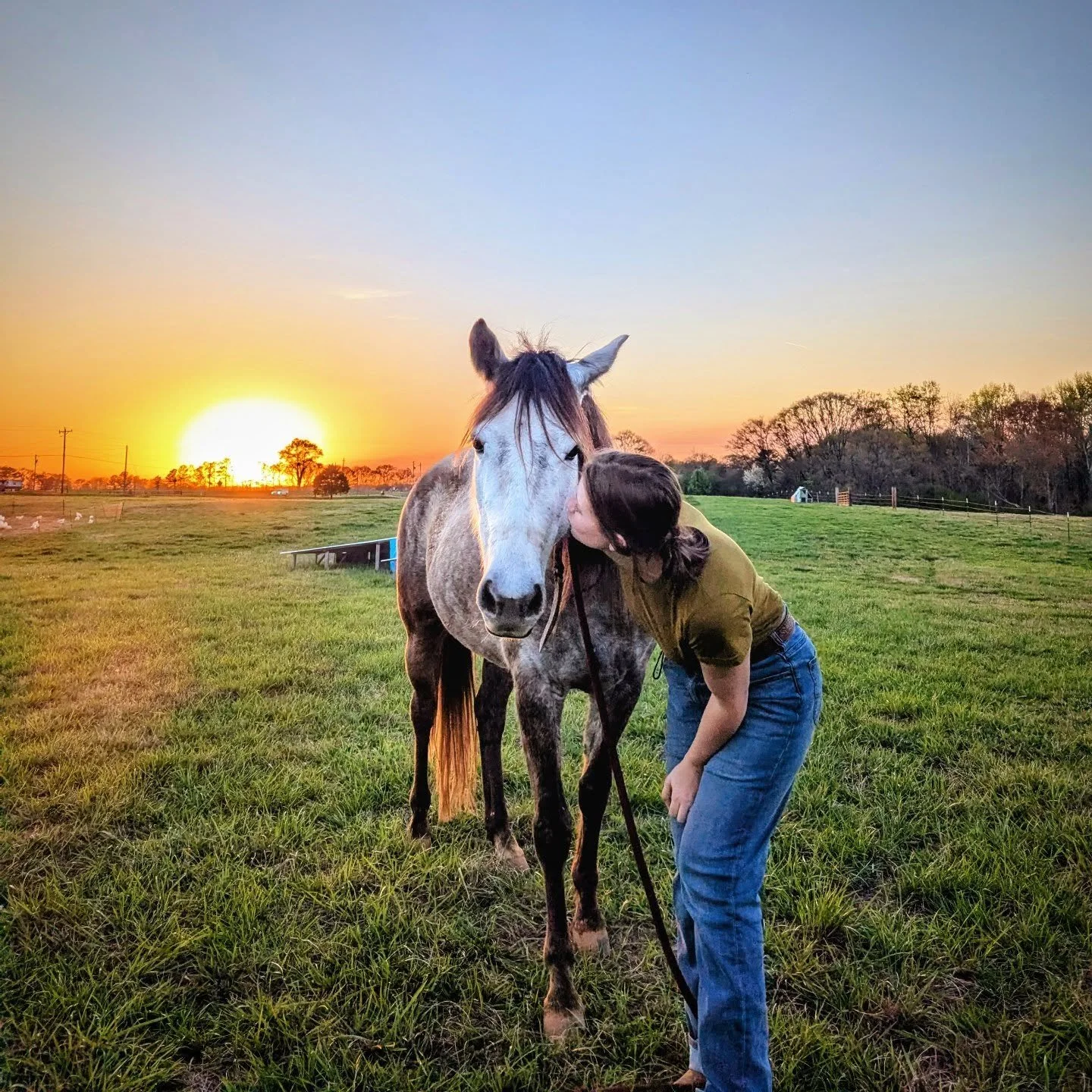 There is something about the outside of a horse that is good for the inside of a man 🩷 this horse has changed my life in more ways than I know. I thank God everyday that she is a part of my life 

#quarterhorse #lovinglife #christiancowgirl #western