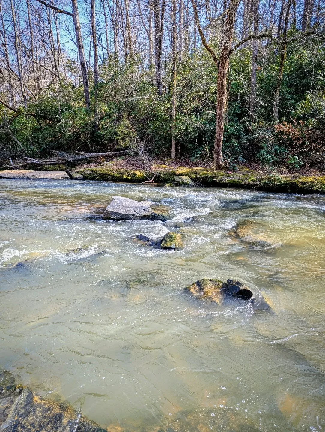 In the moment, it was just about rock hopping to the middle of this small river. But now I've been reminded that while life hurries by and only wants to rush onward, God, being the rock, is my safe place. He's the place of rest and peace and where ti
