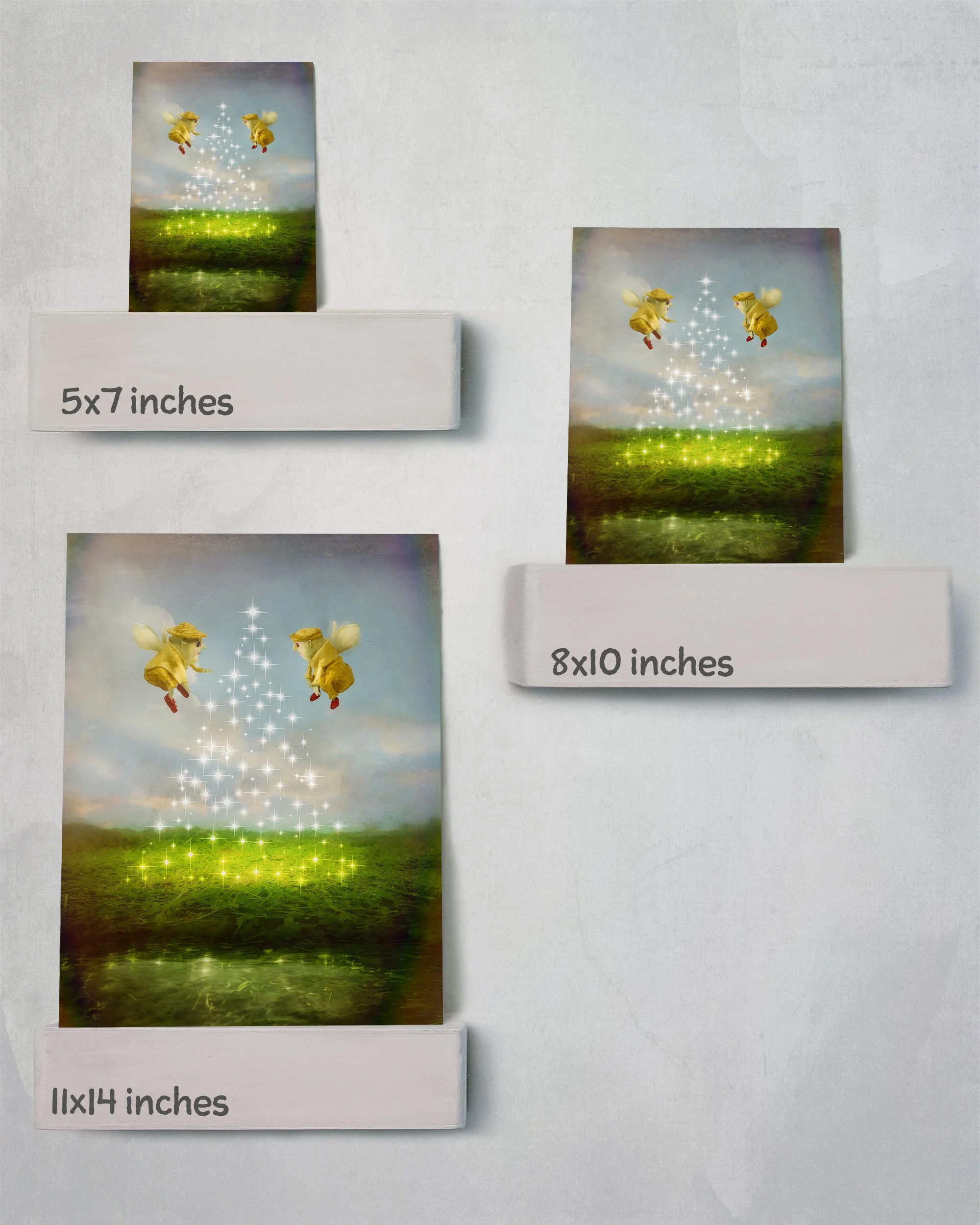a fairies' solstice - 3 print display.jpg