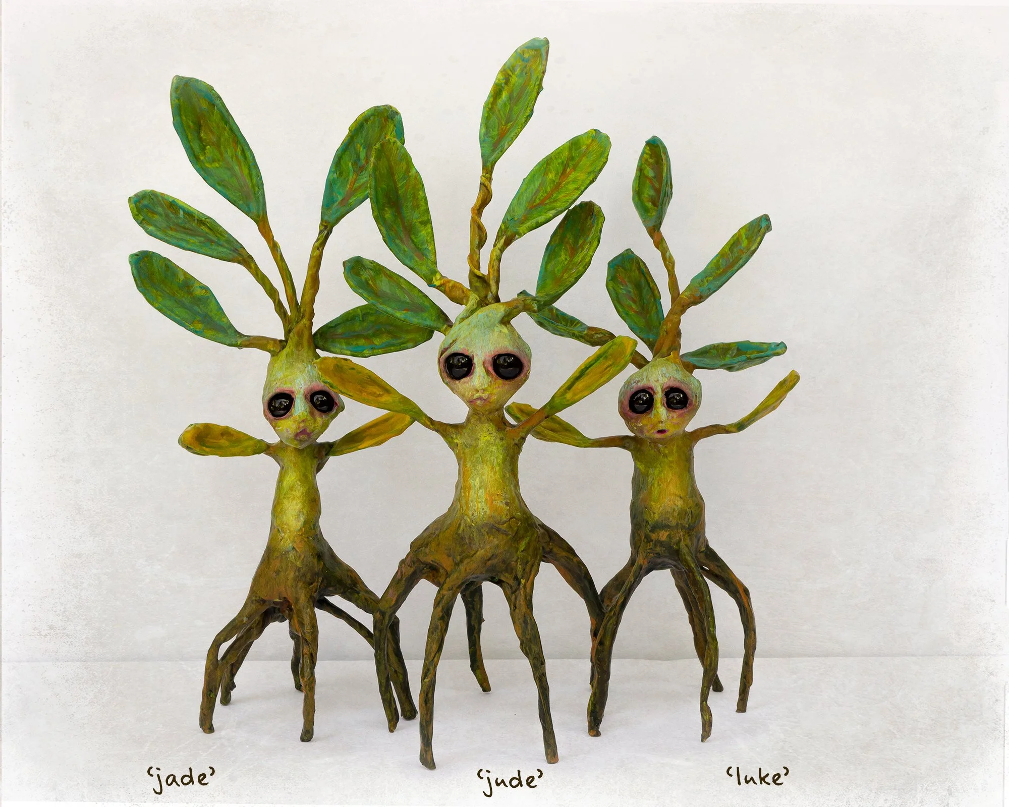 portfolio waterways baby mangroves (2021_05_31 18_10_59 UTC).jpg