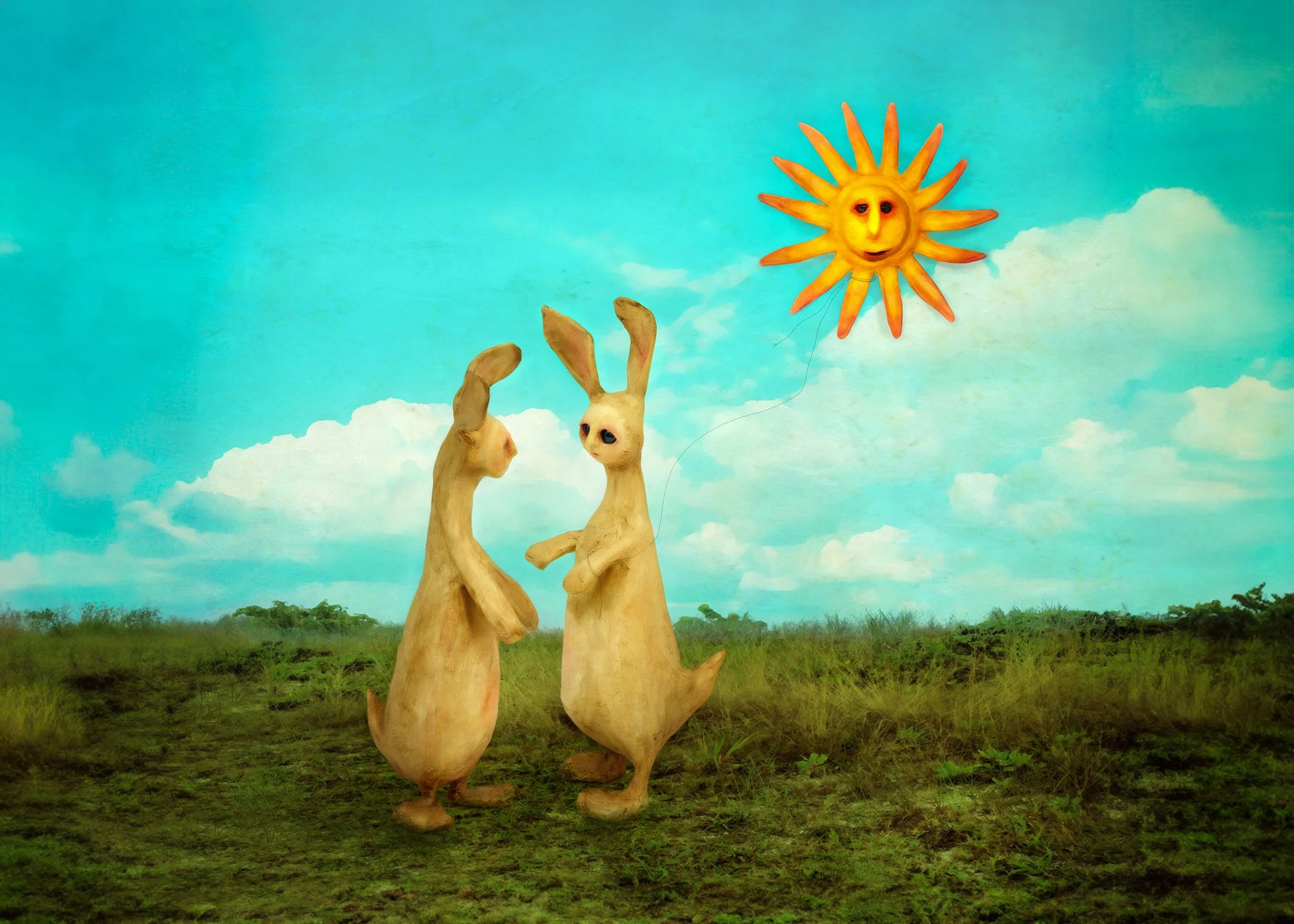 about ocasiocasa museum