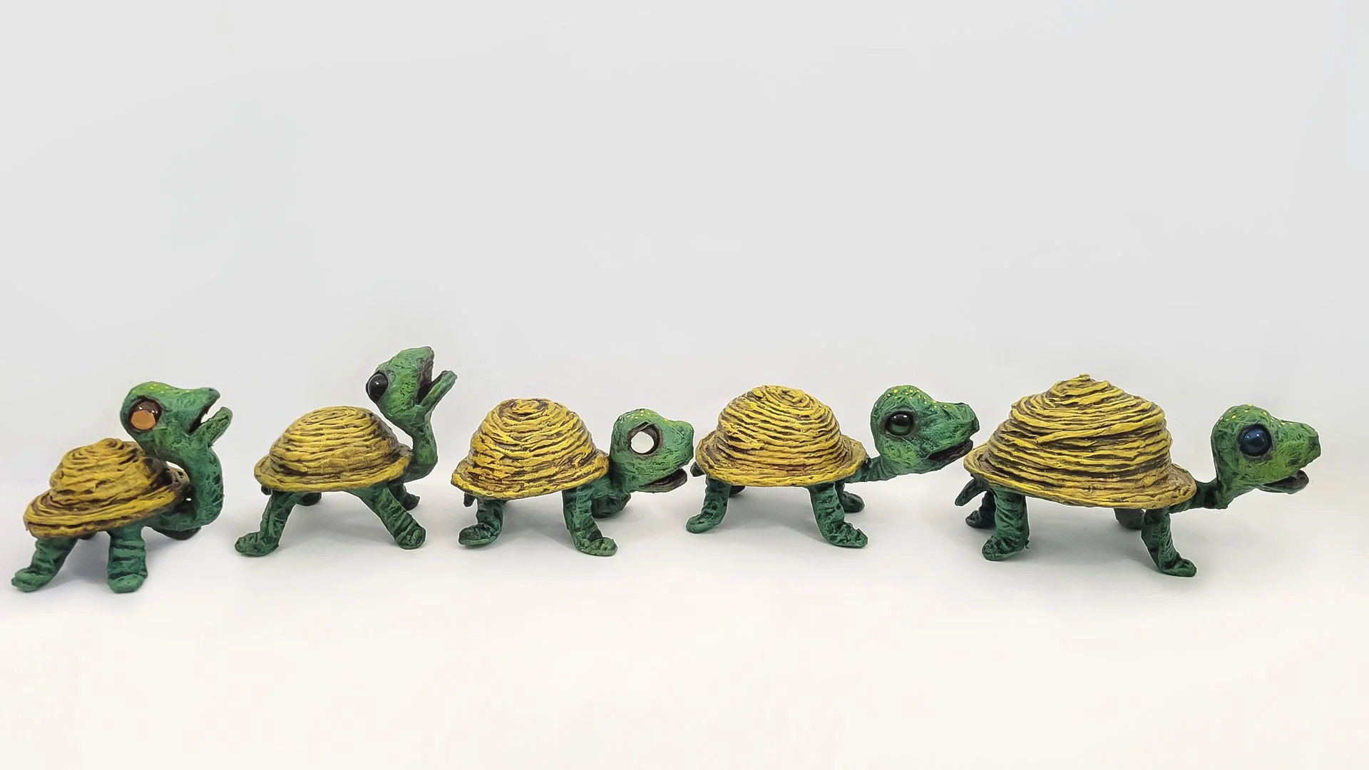 the yellow hat turtle collection