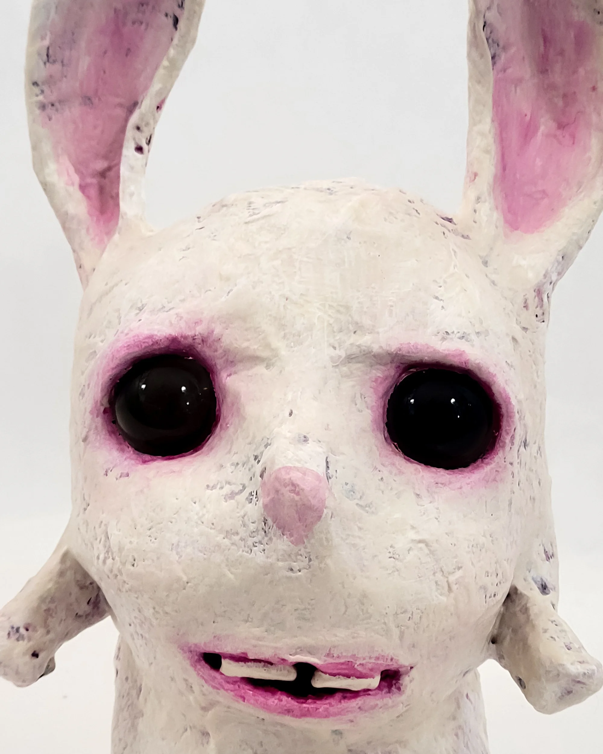 peaches and kreme rabbit collection close up - peaches.jpg