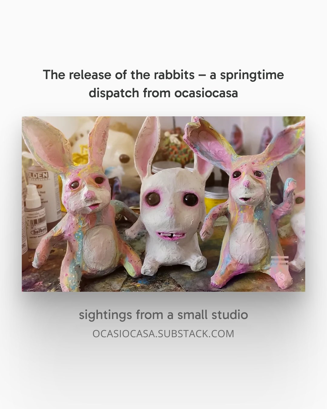 substack post - release of the rabbits march 26.jpg