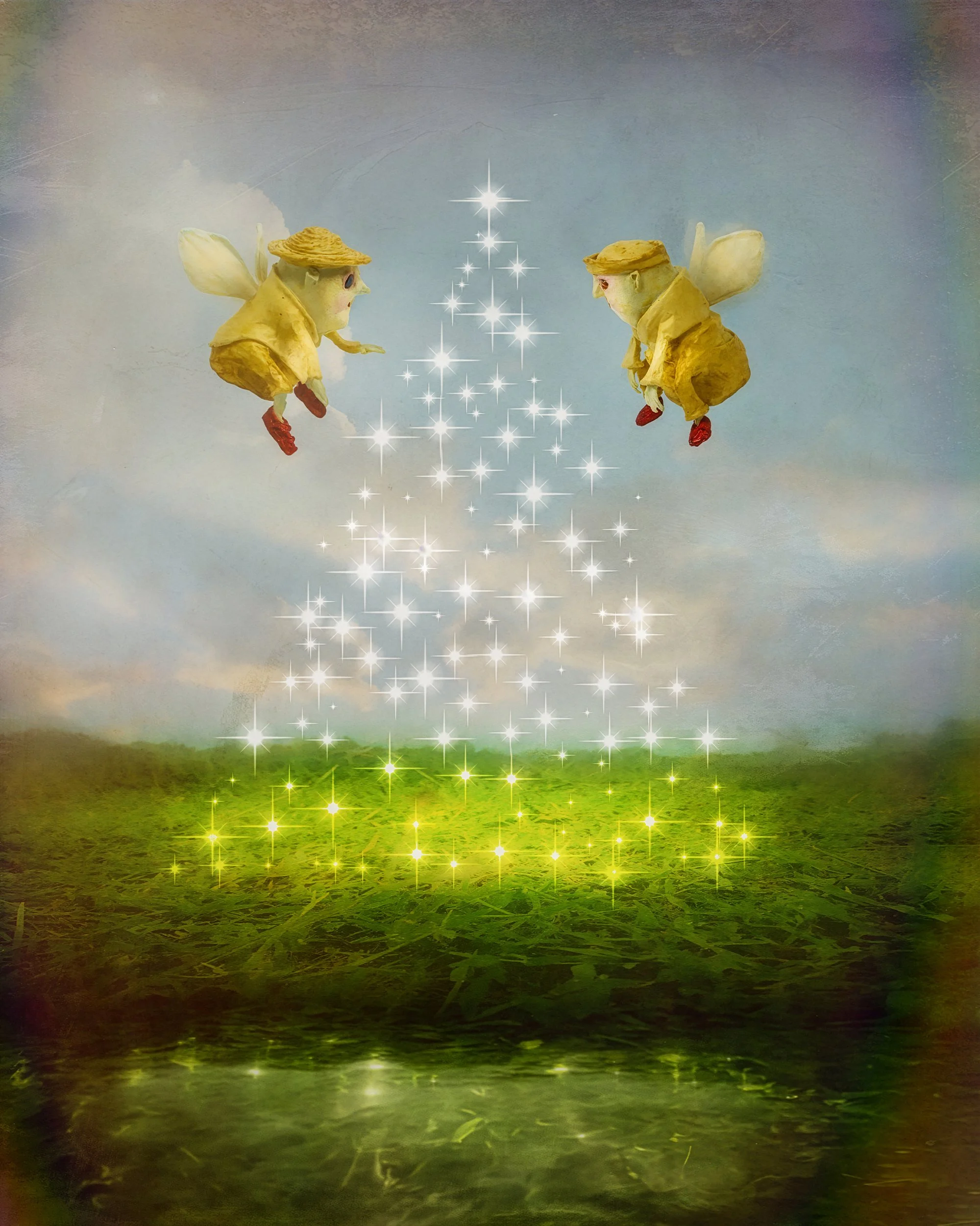 a fairies' solstice – art print