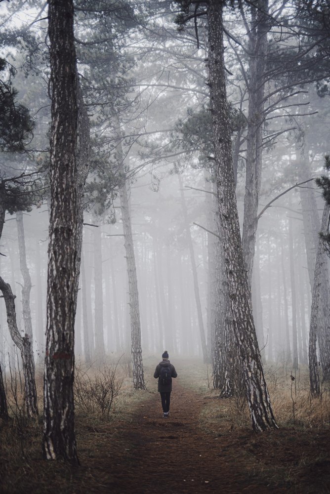 Persona caminando sola por un camino neblinoso en el bosque, avanzando hacia lo desconocido