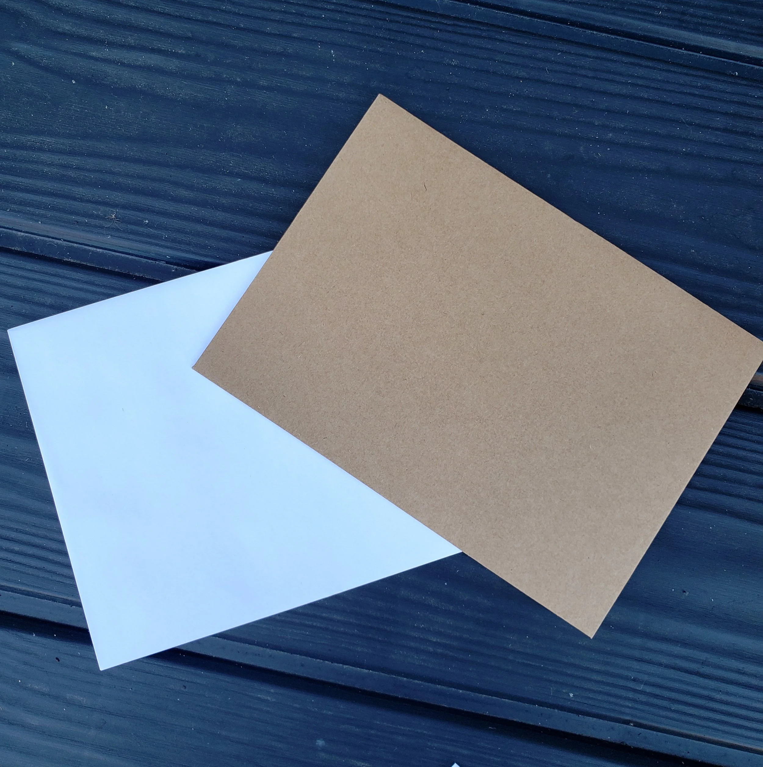 20230922_113424.jpg (Copy) (Copy) (Copy)