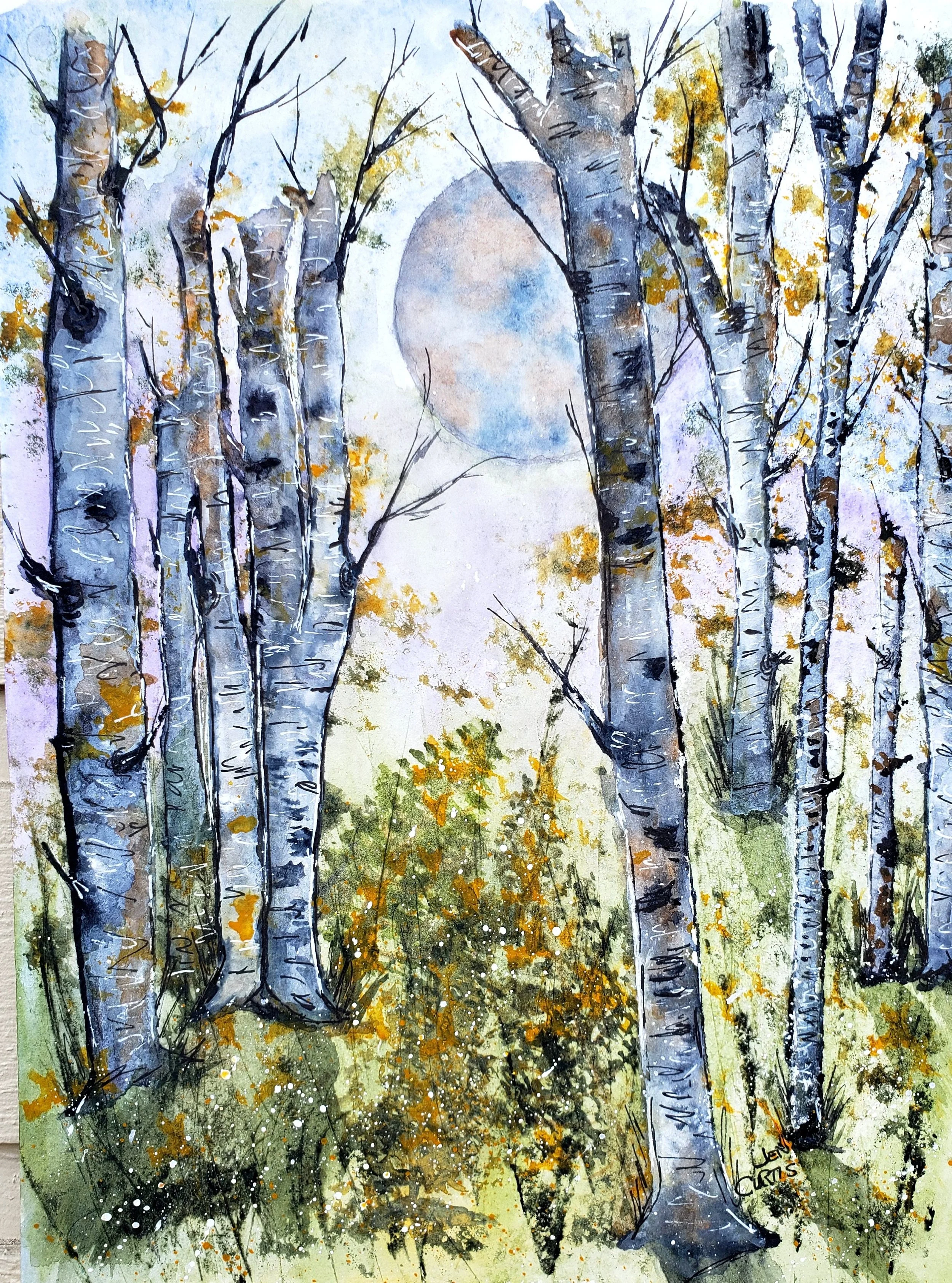 Birch and Moon - prints available