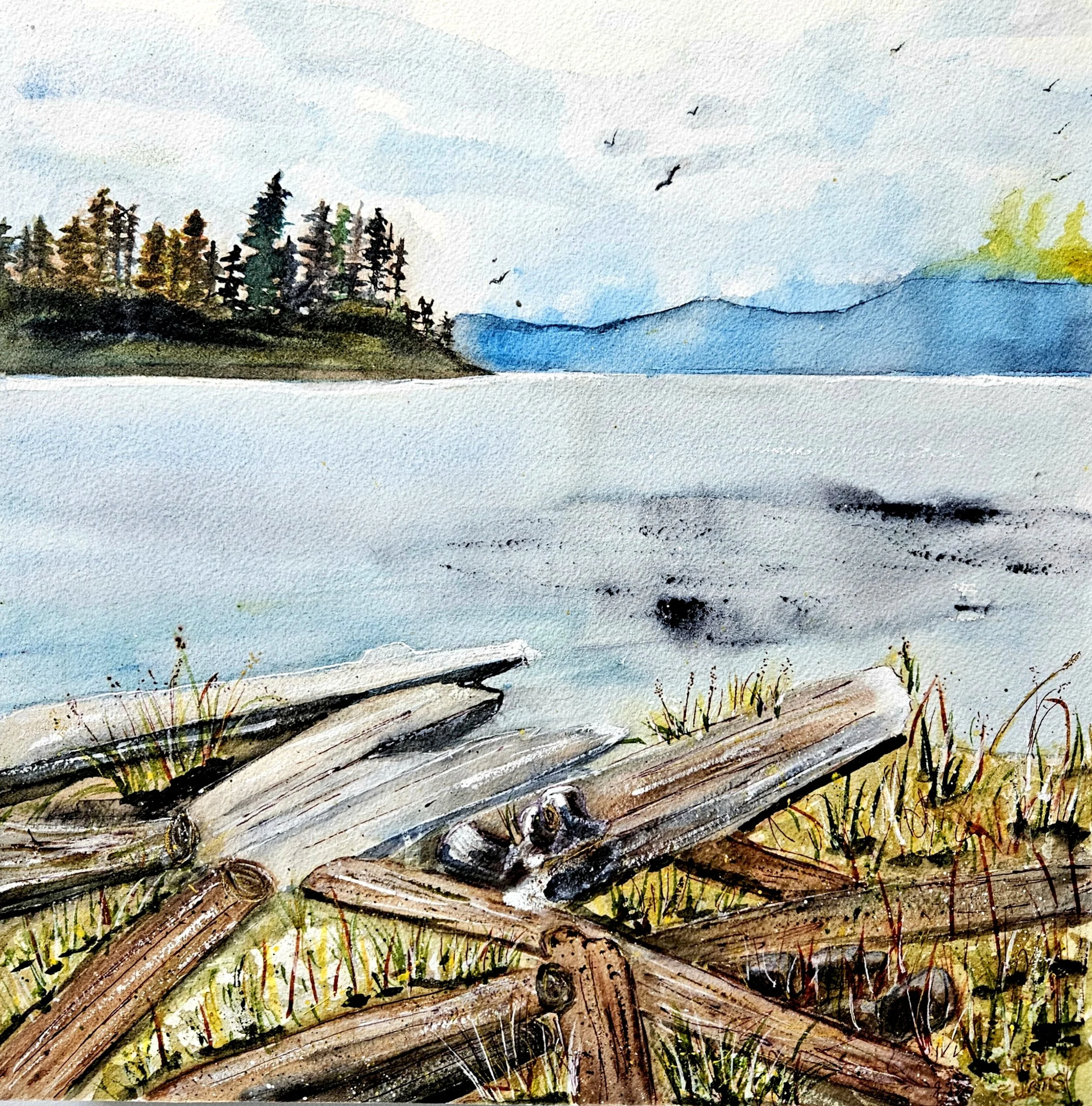 Walking at Whiffen Spit - Jen Curtis.jpg