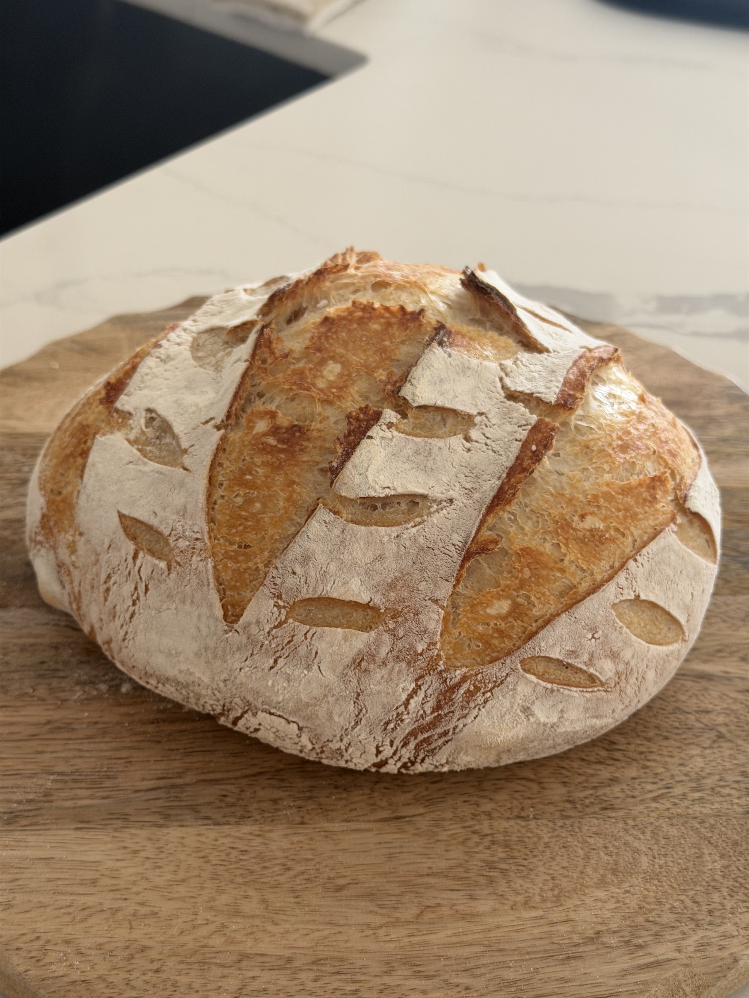 🥖 Sourdough Series #1: How to Bake Your First Sourdough Bread (A Beginner Guide) 🥖