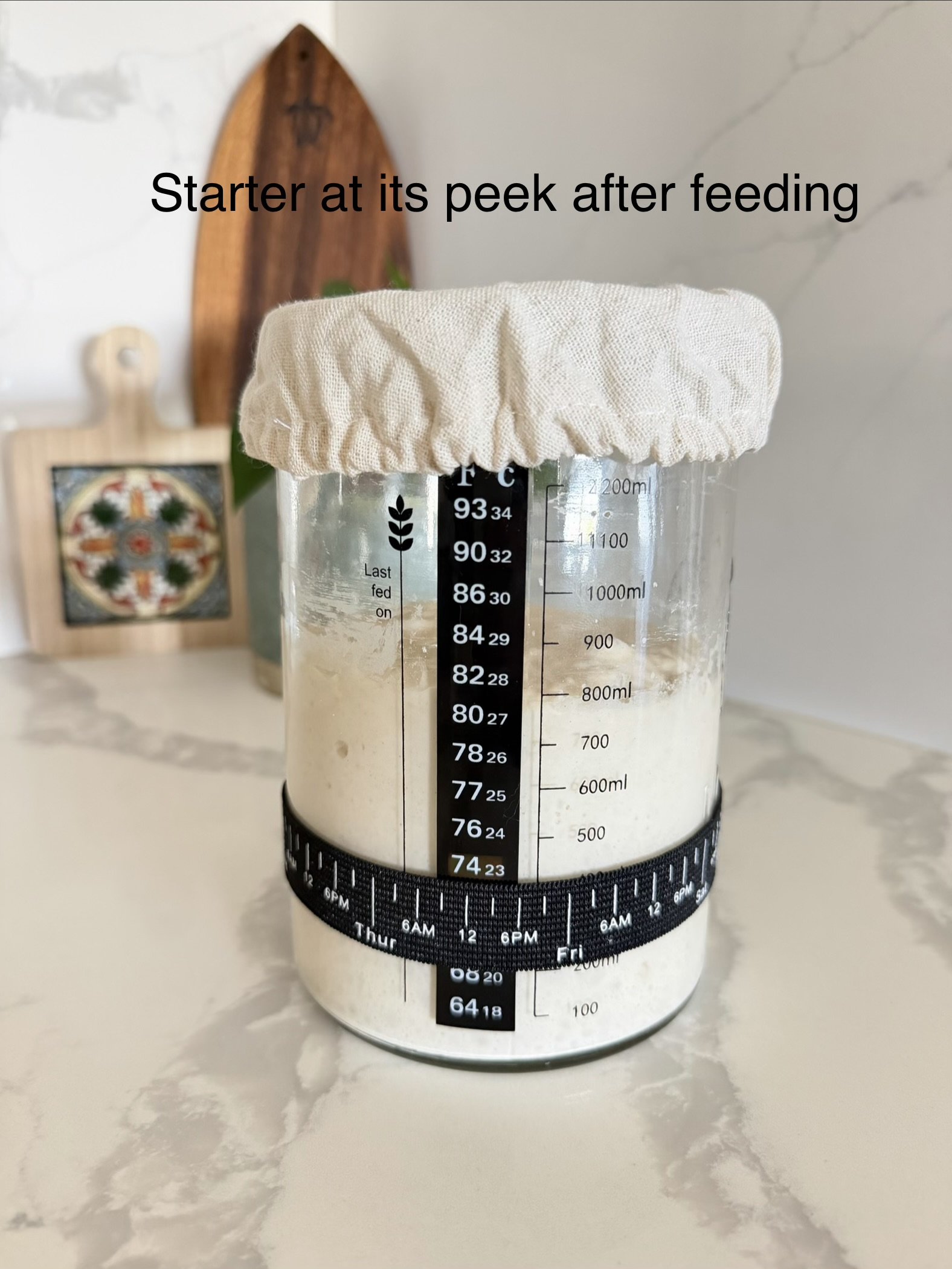 sourdough step by step