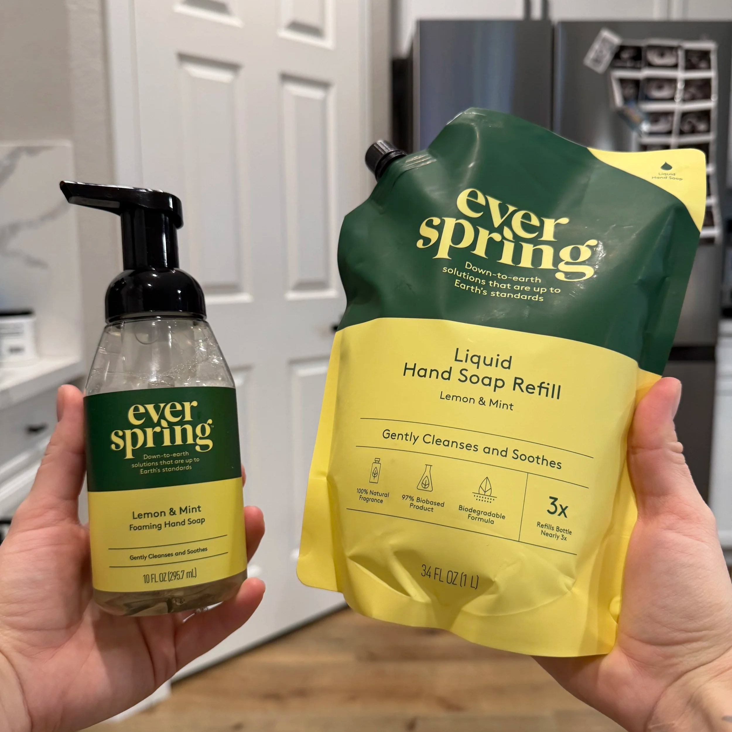 Foaming Hand Soap + Refill — Everspring by target